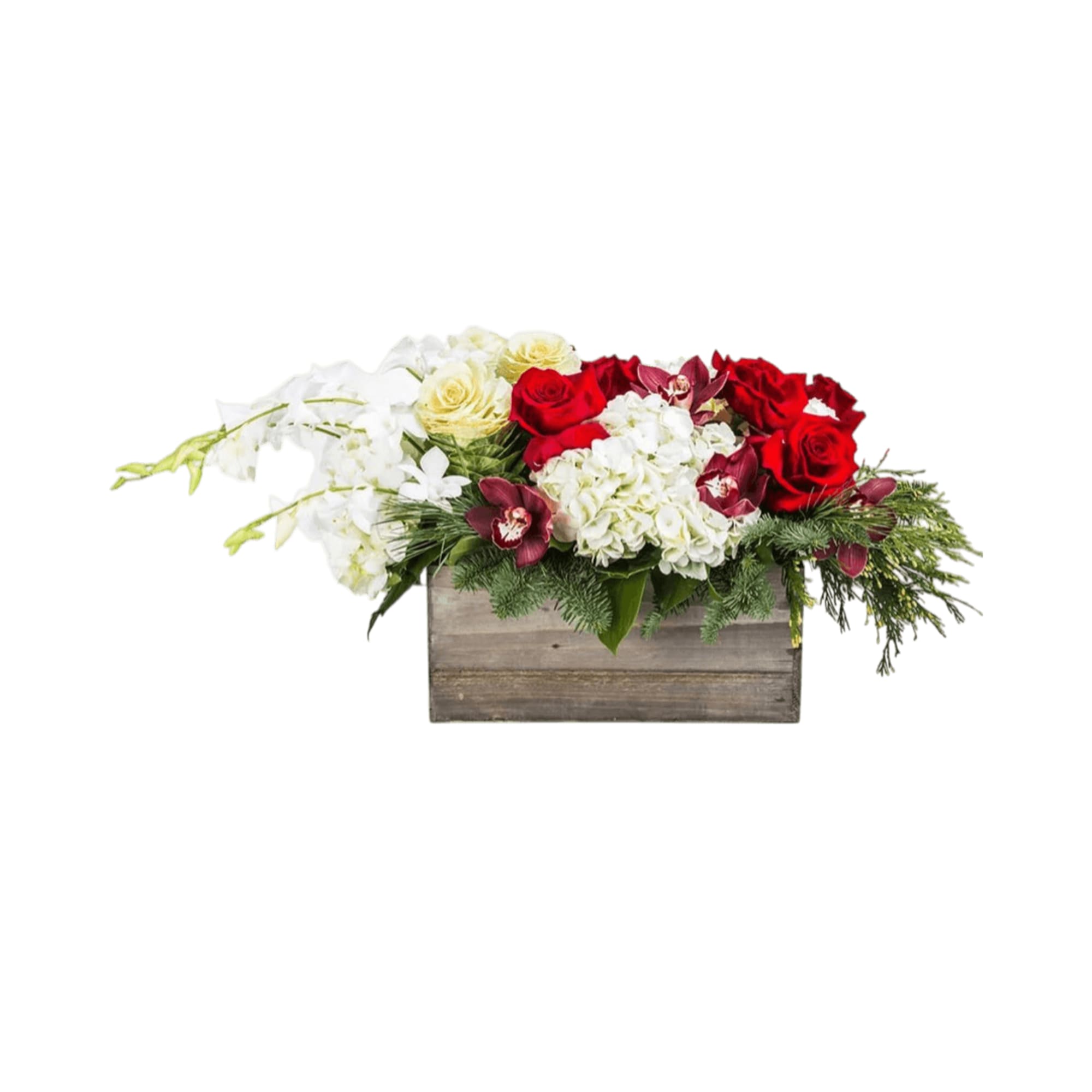 A box of deep hued blooms set along bright whites. Containers vary