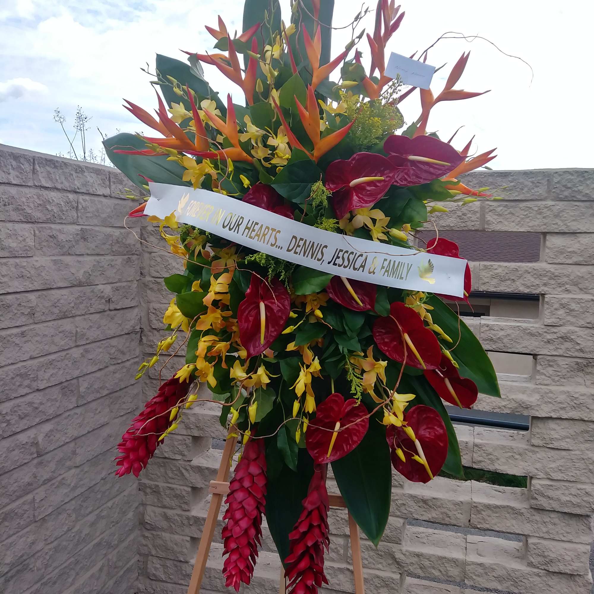 Ginger, birds, orchids, anthuriums