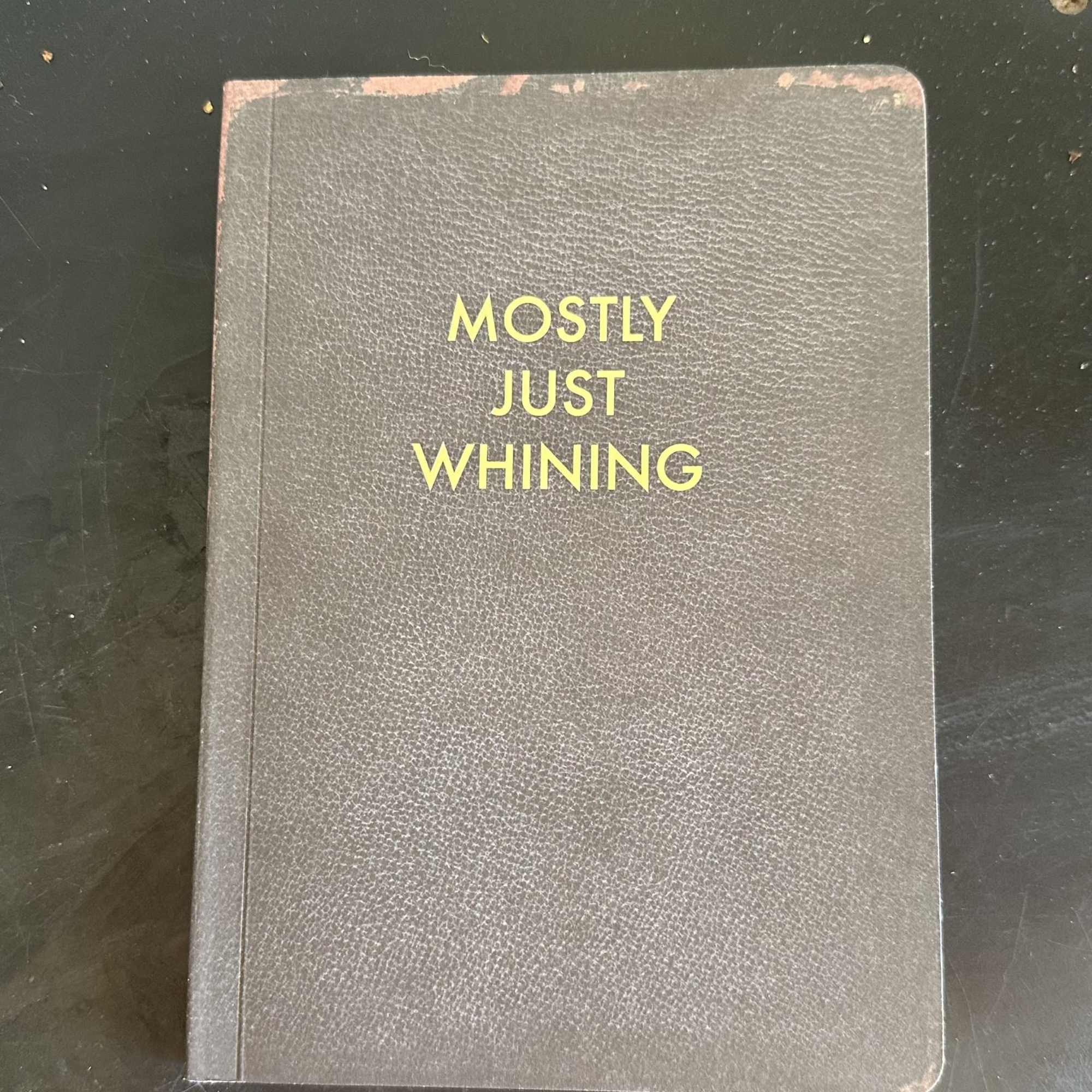 A cute bedazzled sequined pickleball change purse with a &quot;just whining&quot; notebook