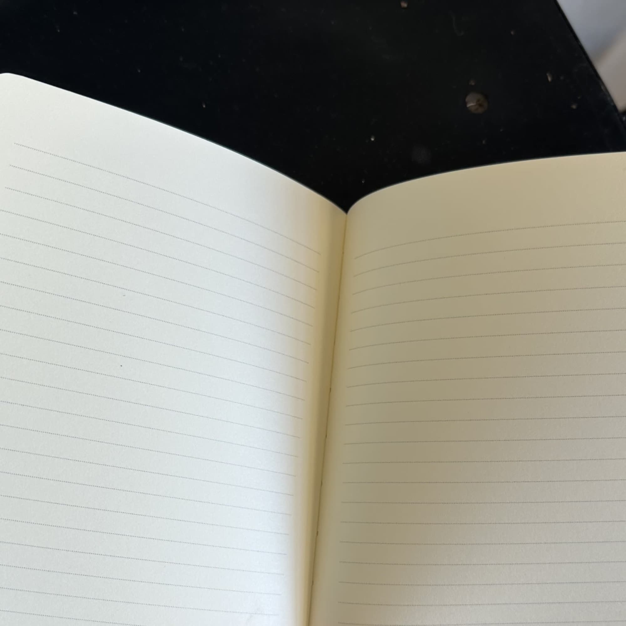 A cute bedazzled sequined pickleball change purse with a &quot;just whining&quot; notebook