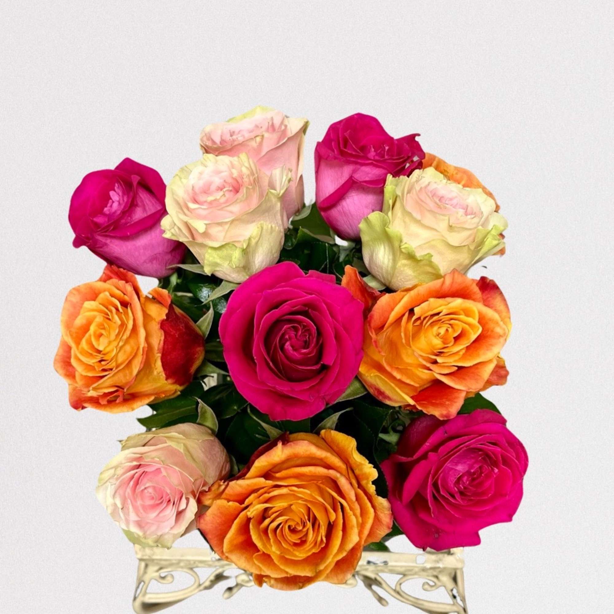 Type of Flowers: Dozen short stemmed mix of vibrant roses in a