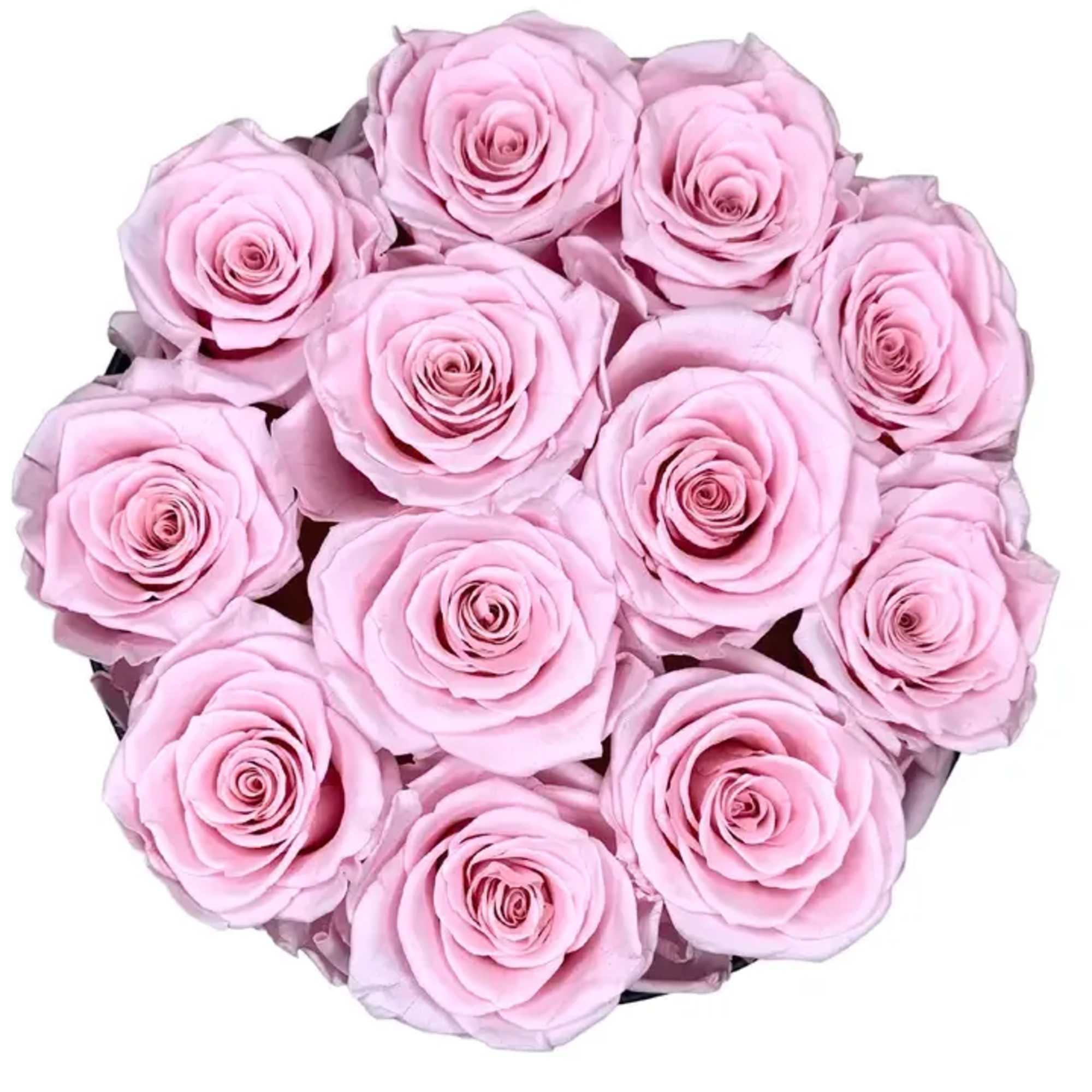 Comes in a luxurious gift box — ready to gift or  Comes in a luxurious gift box — ready to gift or