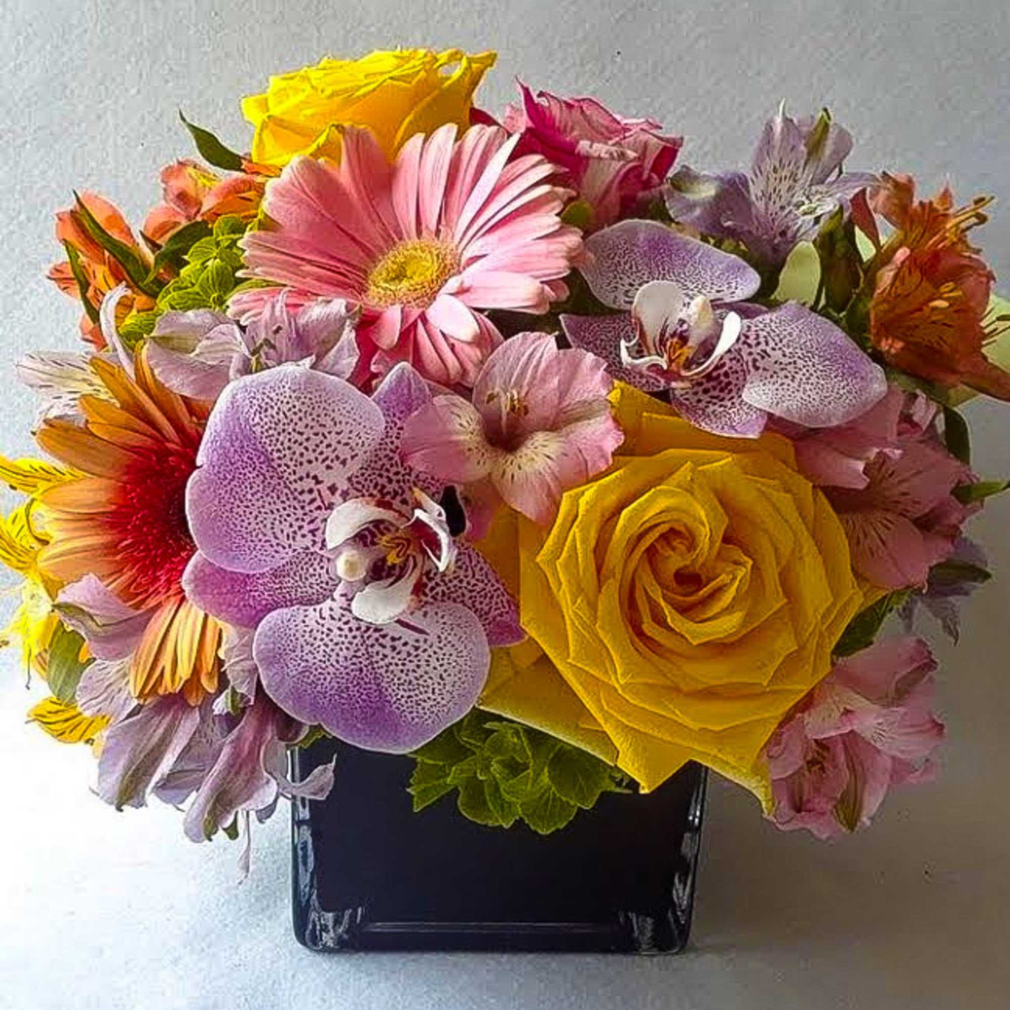 Send this beautiful pastel blossoms beauty today to make them smile with