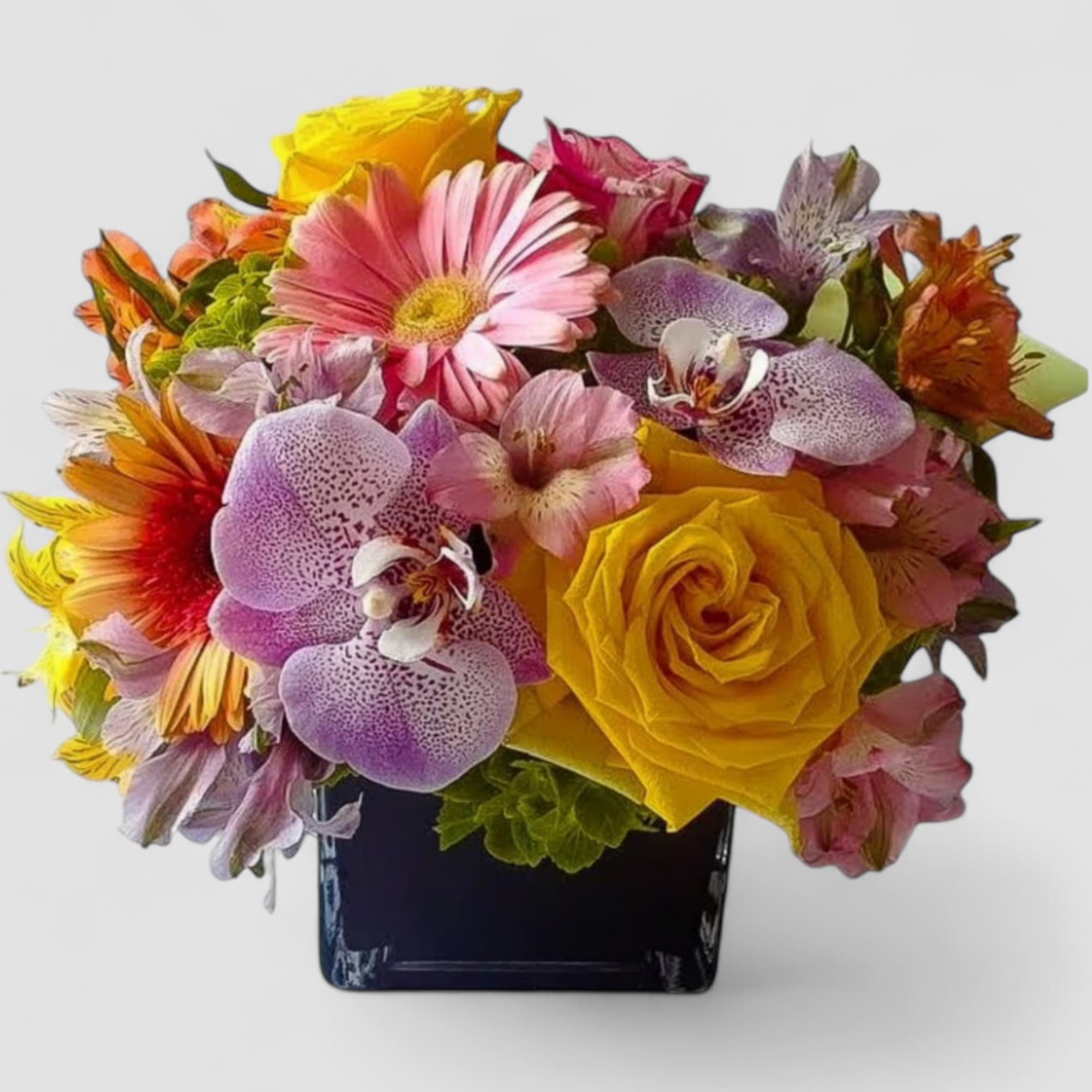 Send this beautiful pastel blossoms beauty today to make them smile with