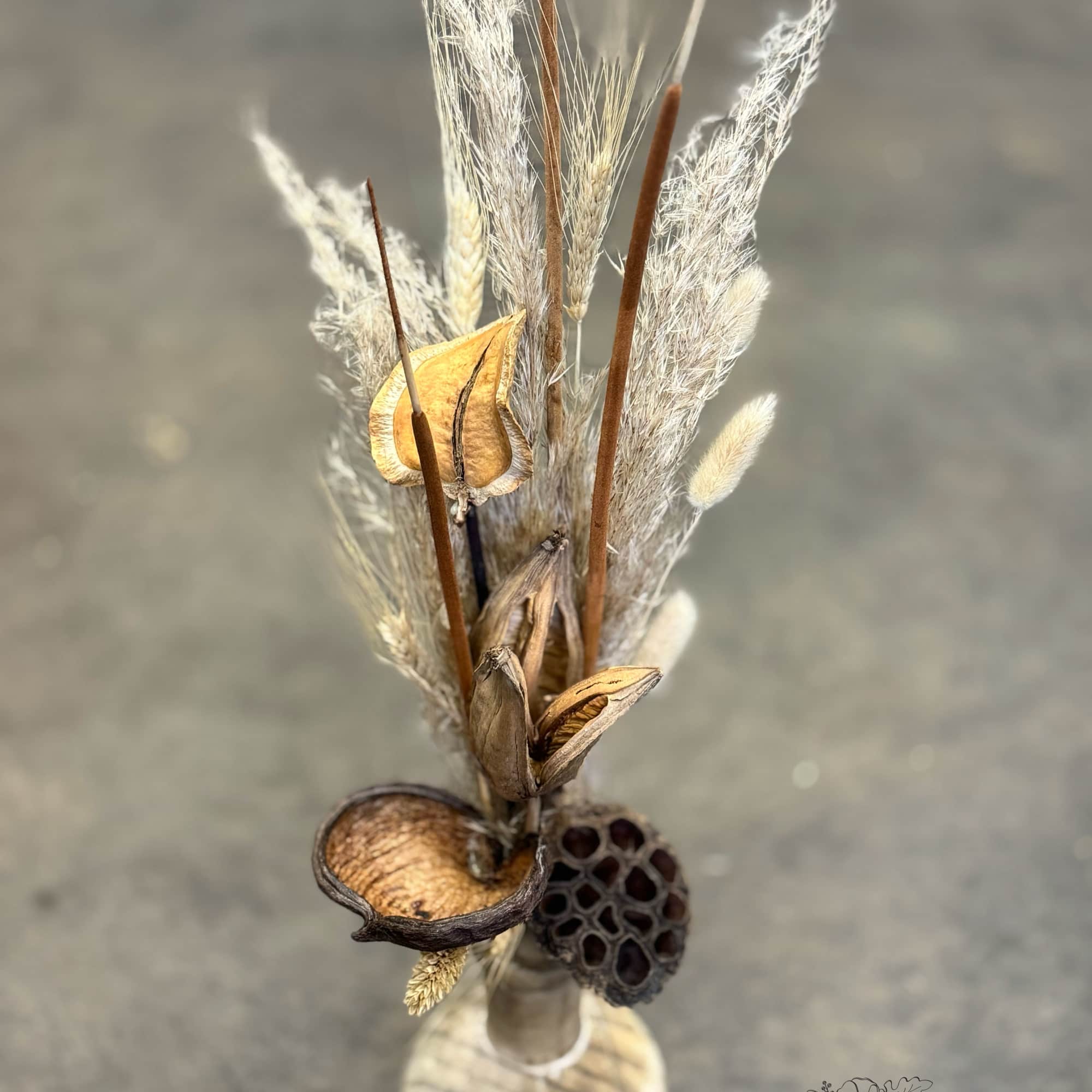 A soft mix of natural textures and preserved elements in a small A soft mix of natural textures and preserved elements in a small