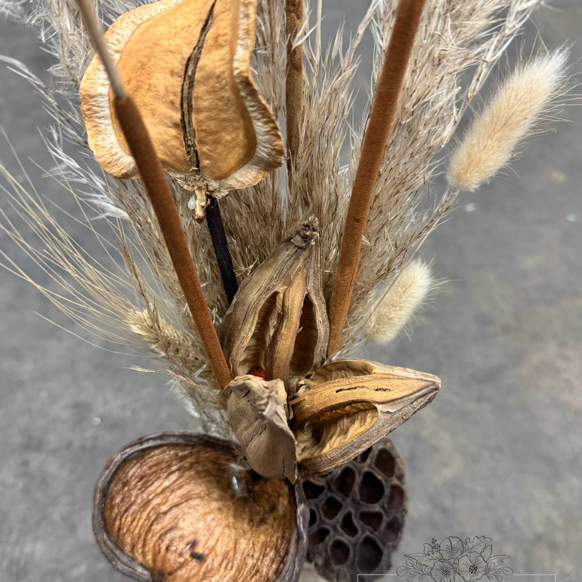 A soft mix of natural textures and preserved elements in a small A soft mix of natural textures and preserved elements in a small