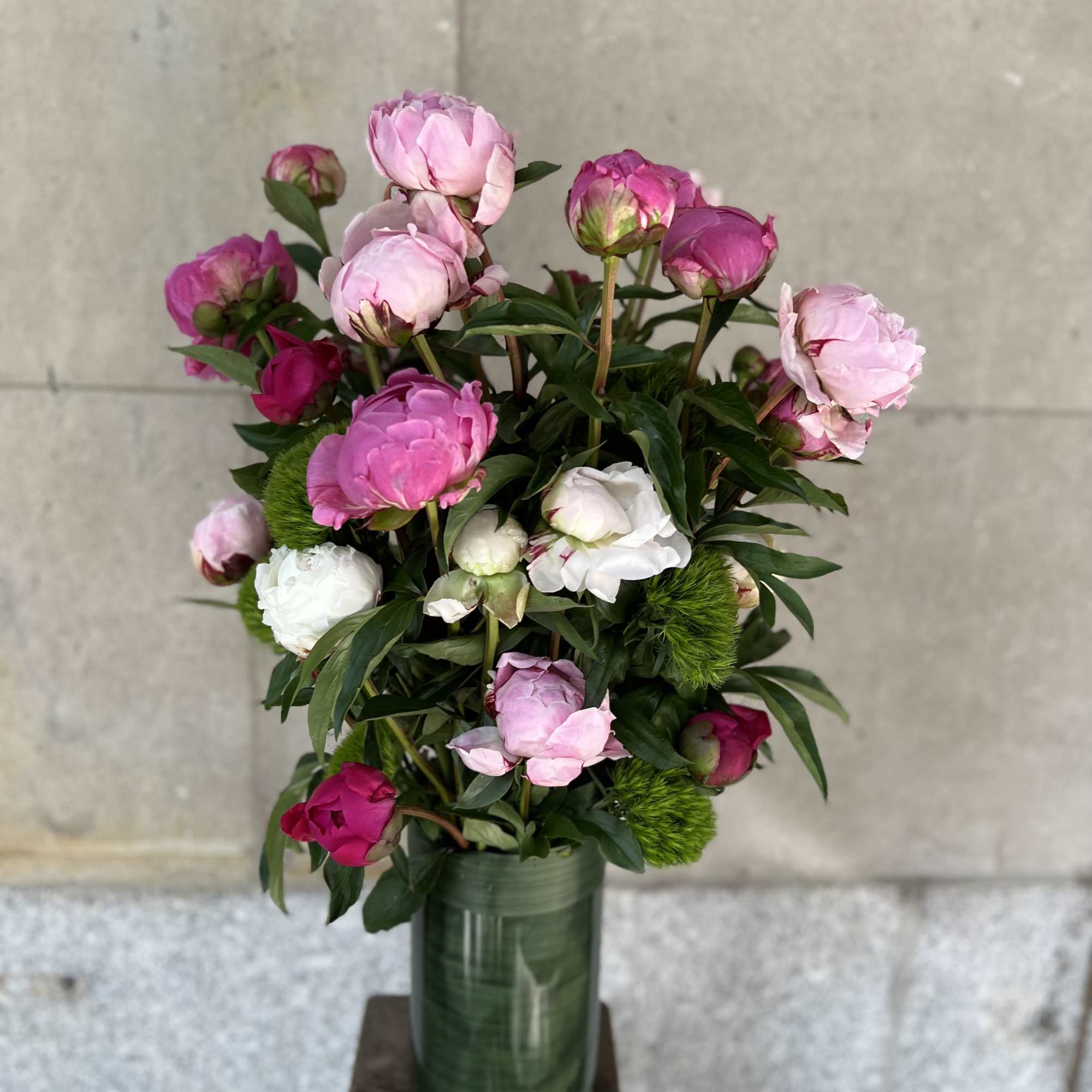 Peonies and green trick sweet William  arranged in a glass cylinder. Peonies and green trick sweet William  arranged in a glass cylinder.
