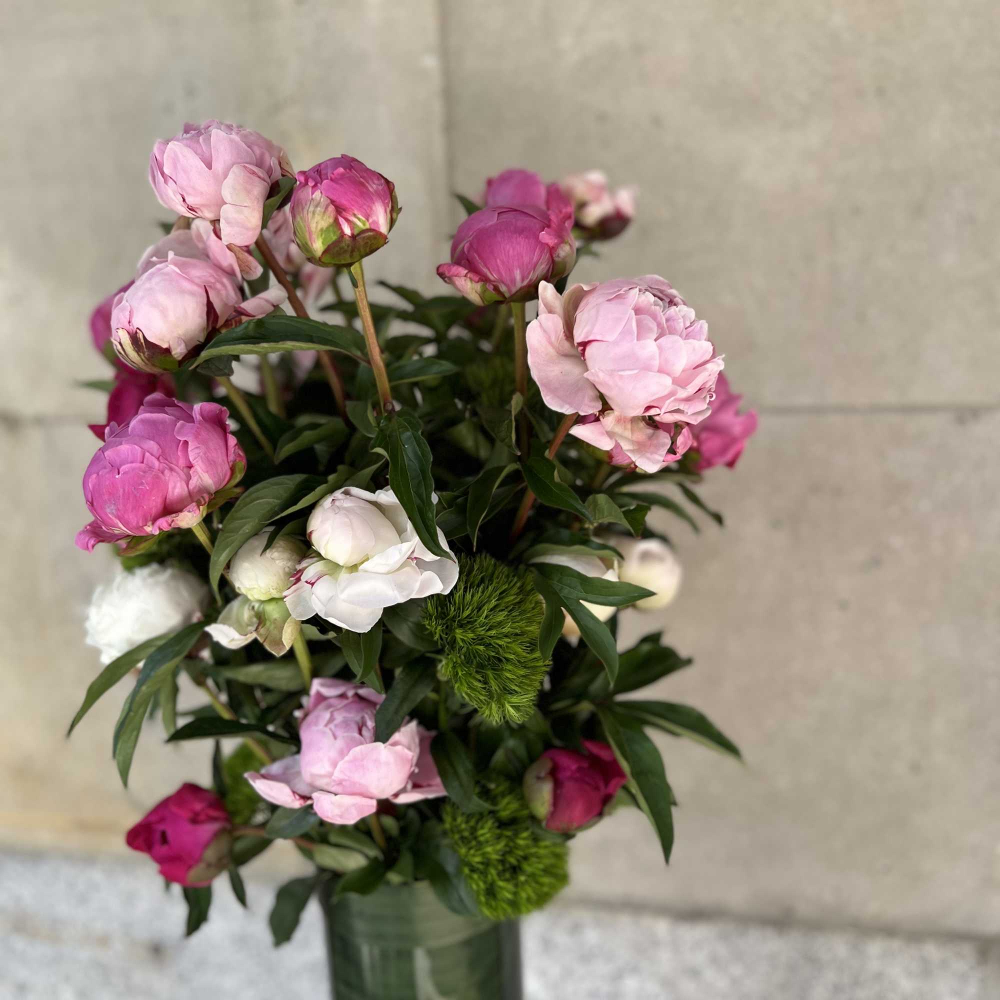 Peonies and green trick sweet William  arranged in a glass cylinder. Peonies and green trick sweet William  arranged in a glass cylinder.