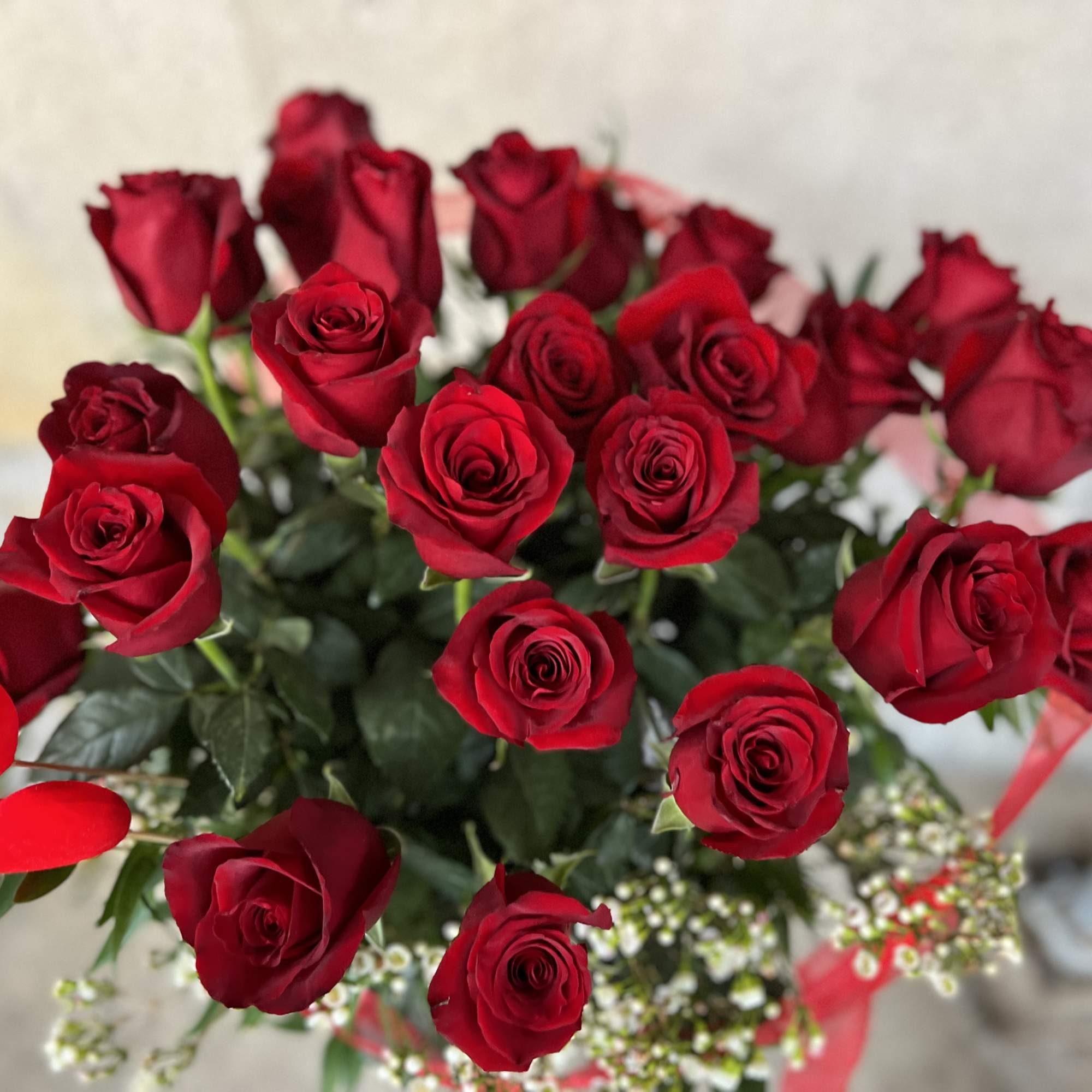 We are pleased to highlight our exquisite collection of long-stemmed roses, expertly We are pleased to highlight our exquisite collection of long-stemmed roses, expertly