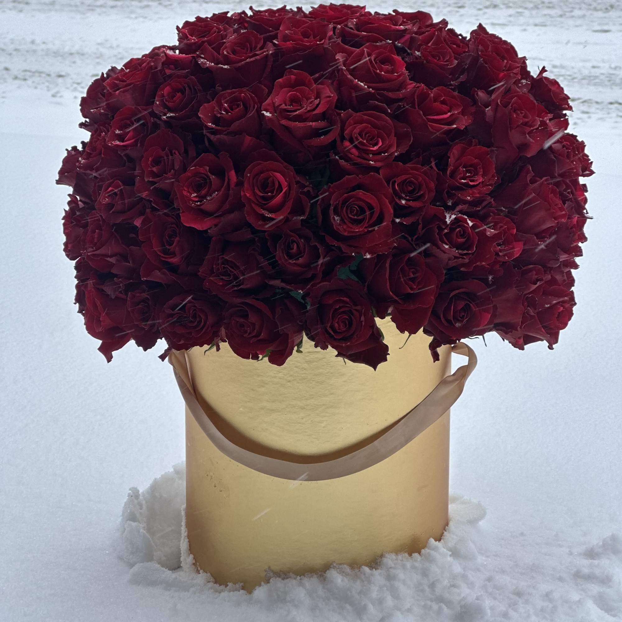 85 roses , gorgeous box , send you your loved ones 