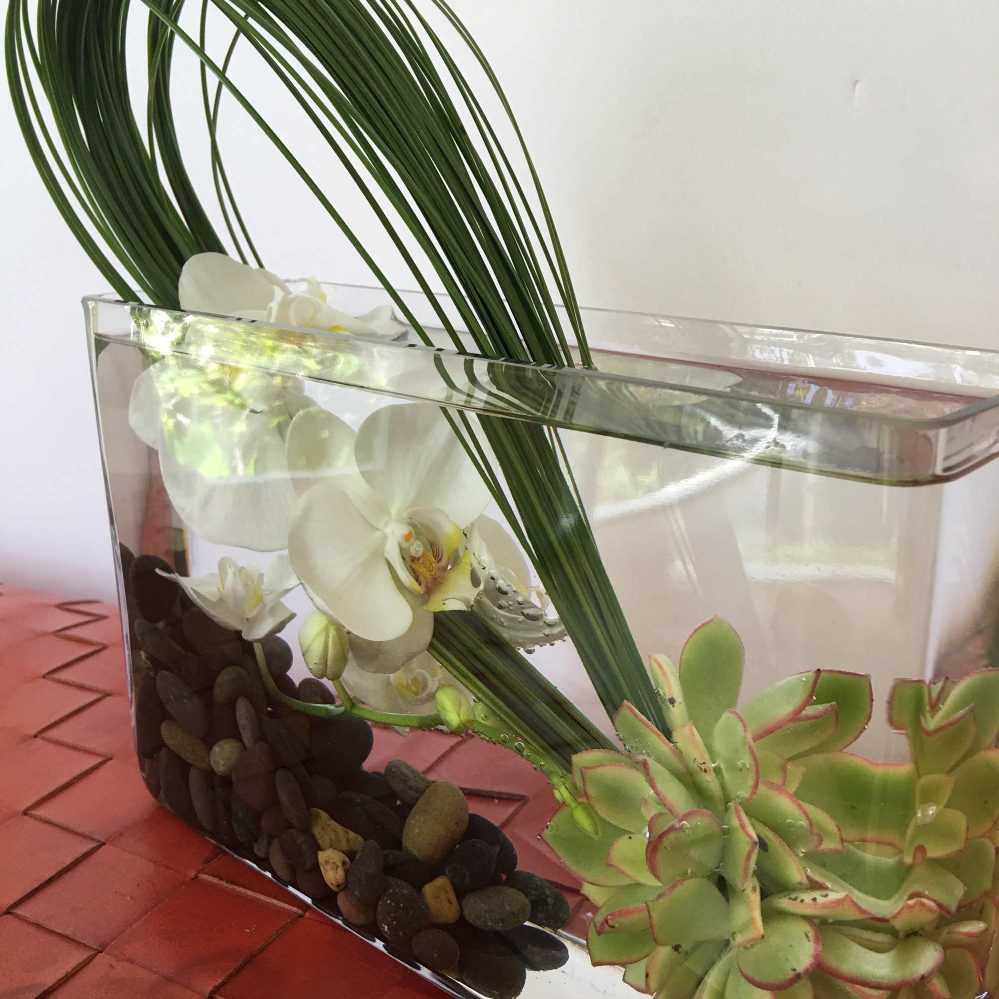 Nice moder succulent and orchid arrangement sumarge in water giving this arrangement