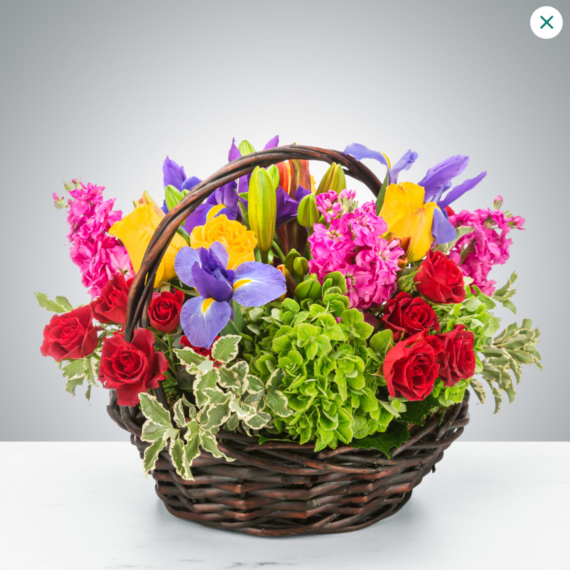 For the color lover in your life! Featuring 6 different types of