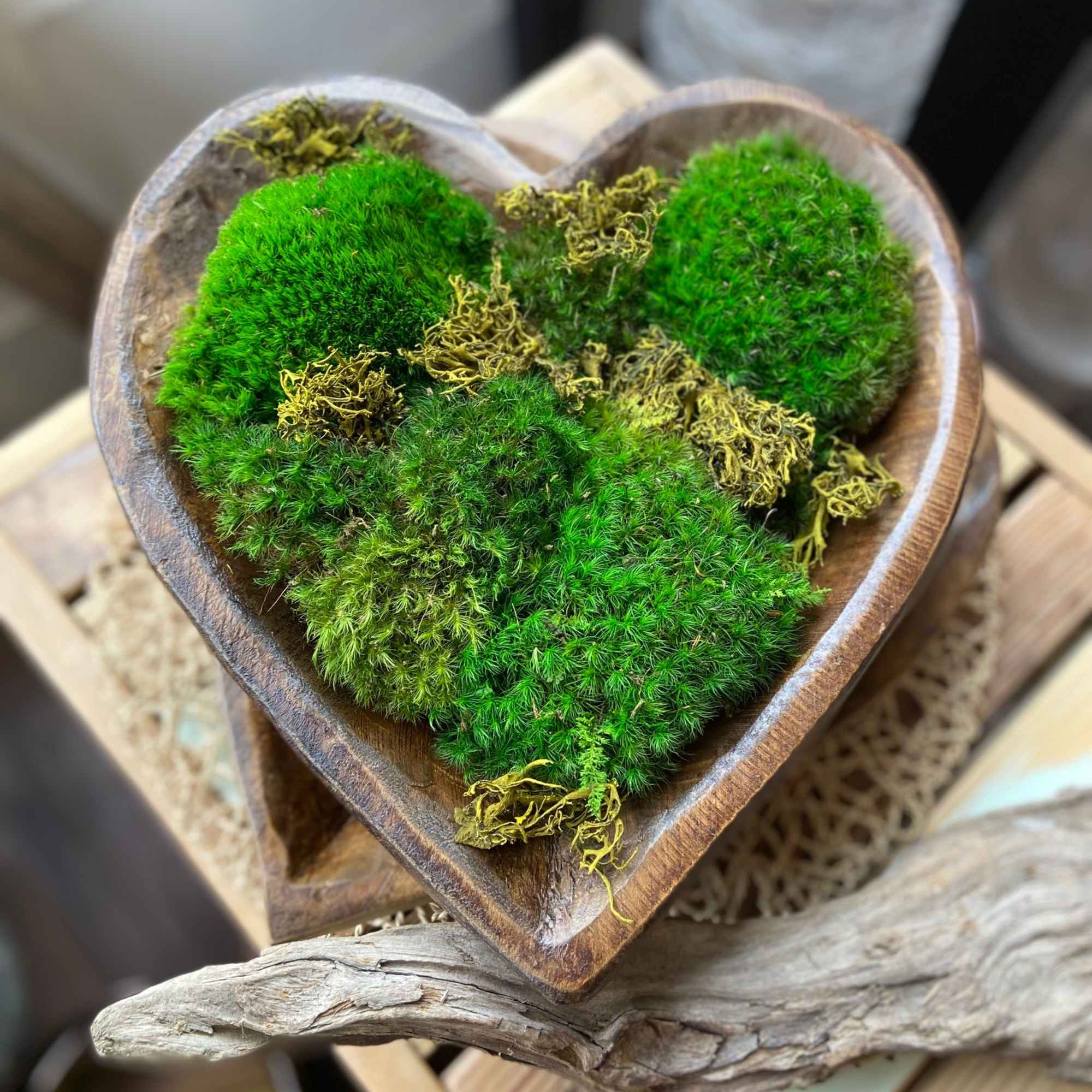 Rustic Hand Carved Wood Bowl or Heart with Mood Moss