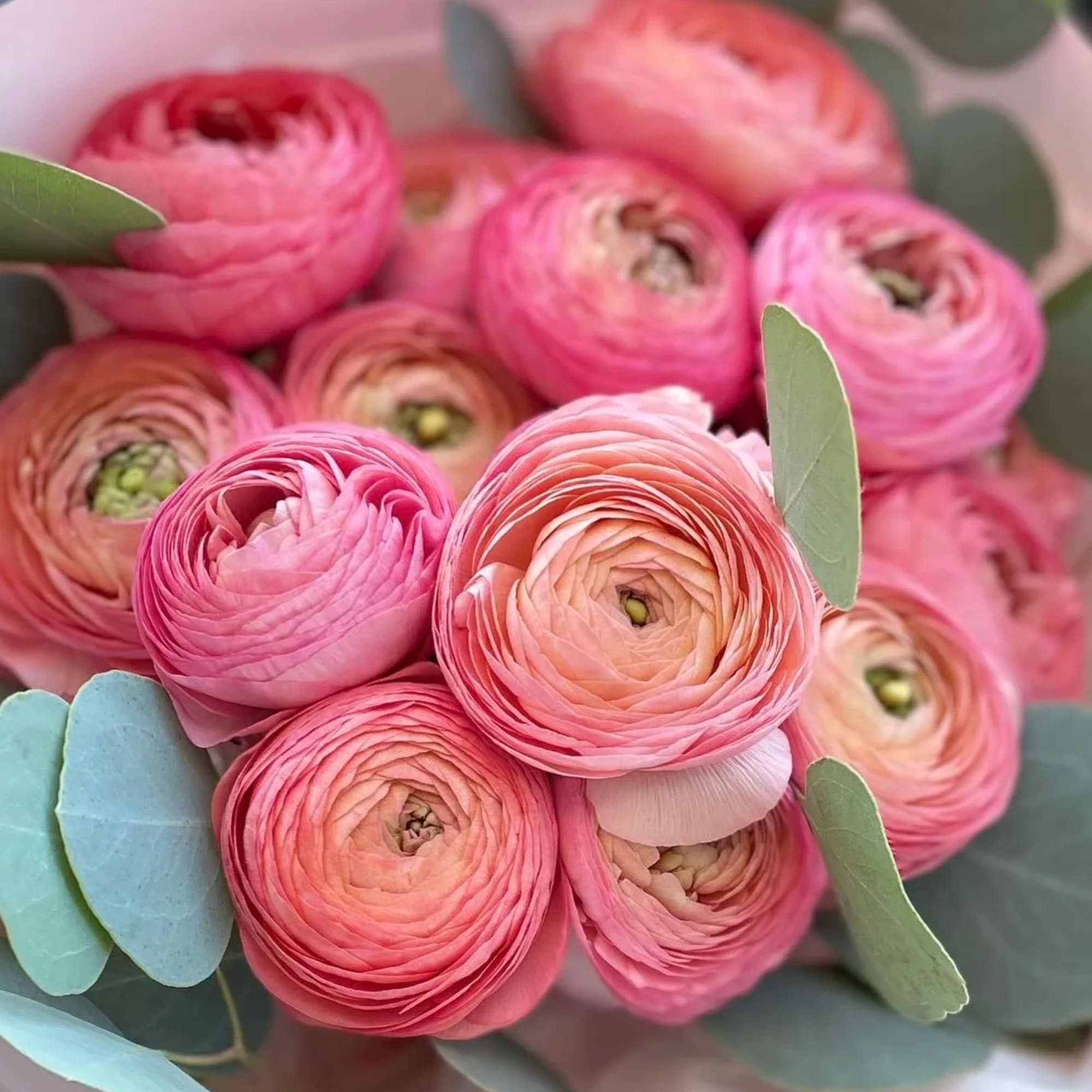 On the first photo is a standard size. On the first photo is a standard size.