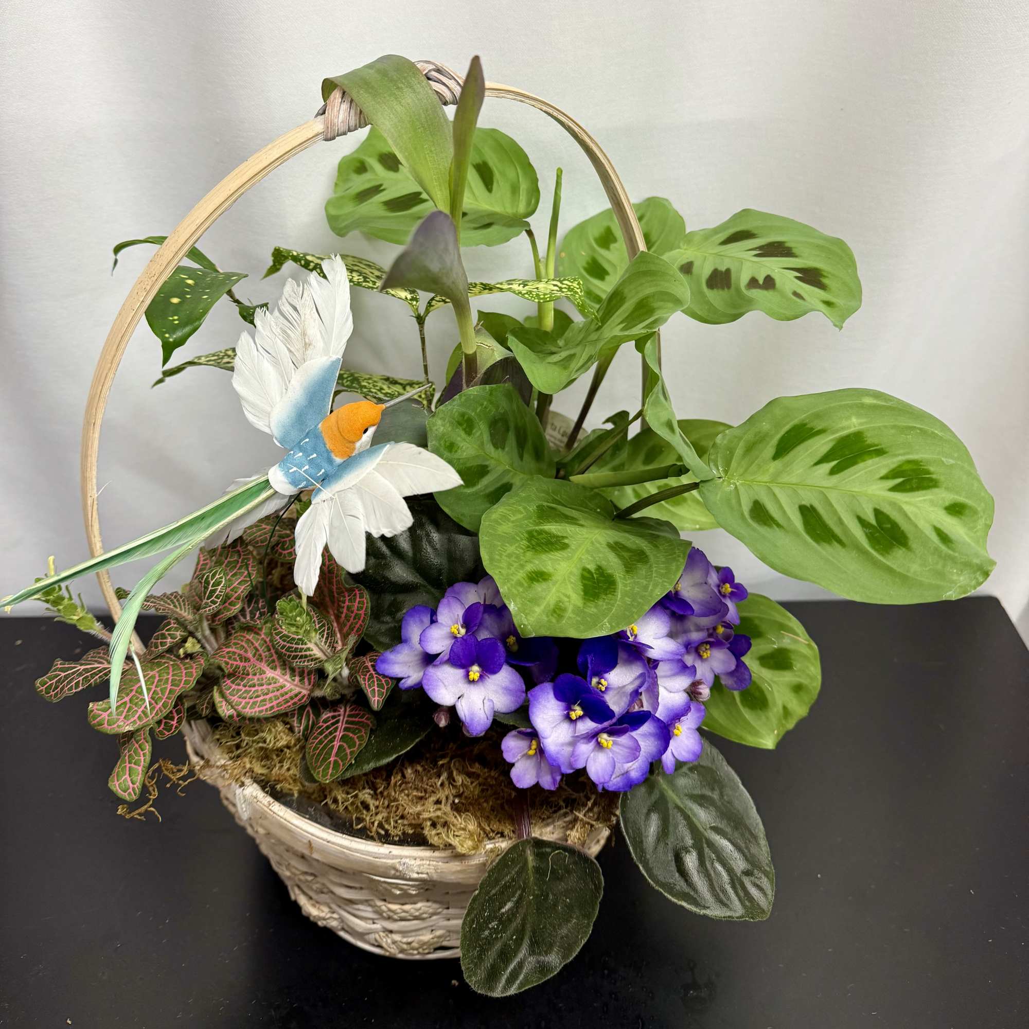 Assorted green plants with seasonal blooming plants like Cyclamen, and African Violets