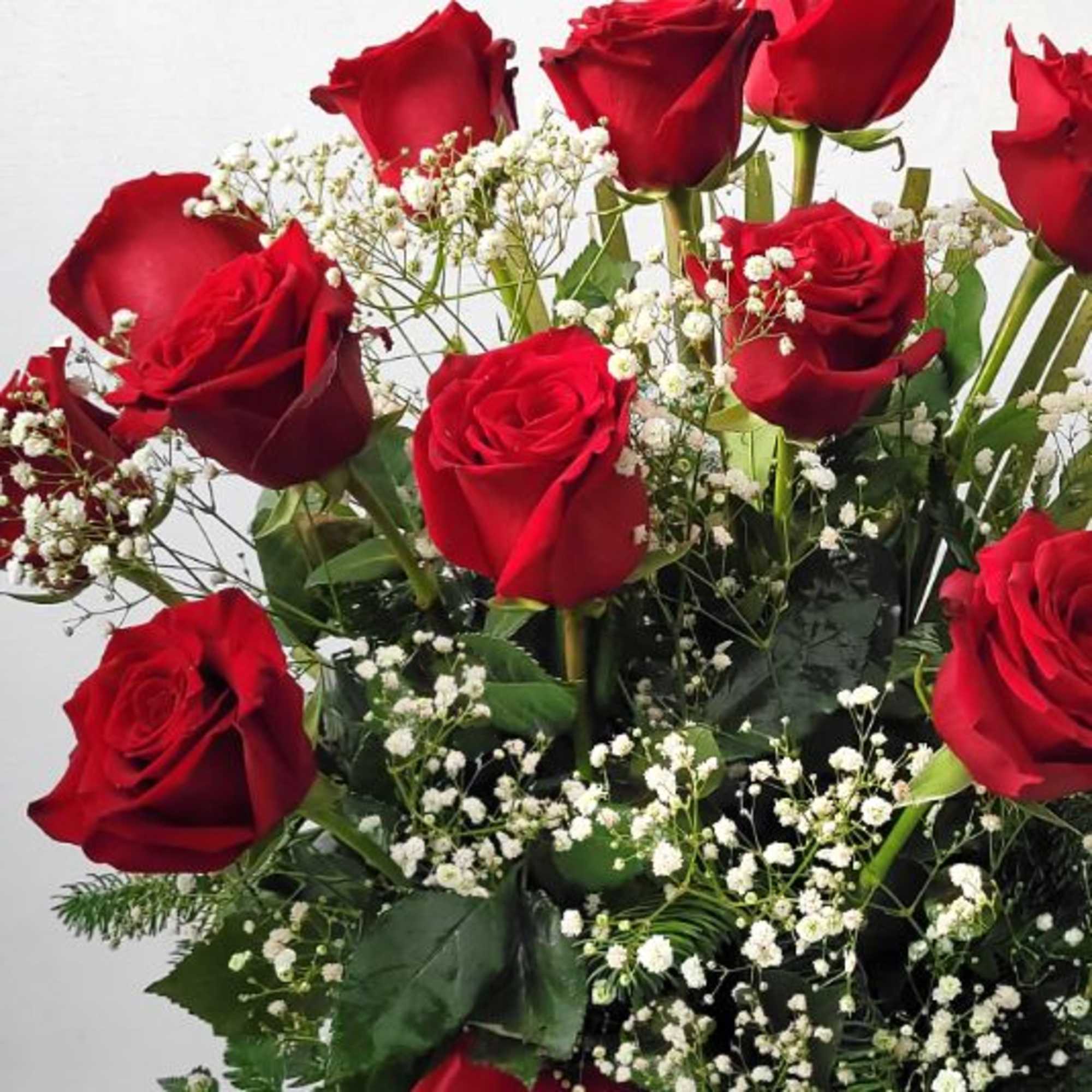 Upgrade to our Premium Classic Romance -
One (1) Dozen long stem RED