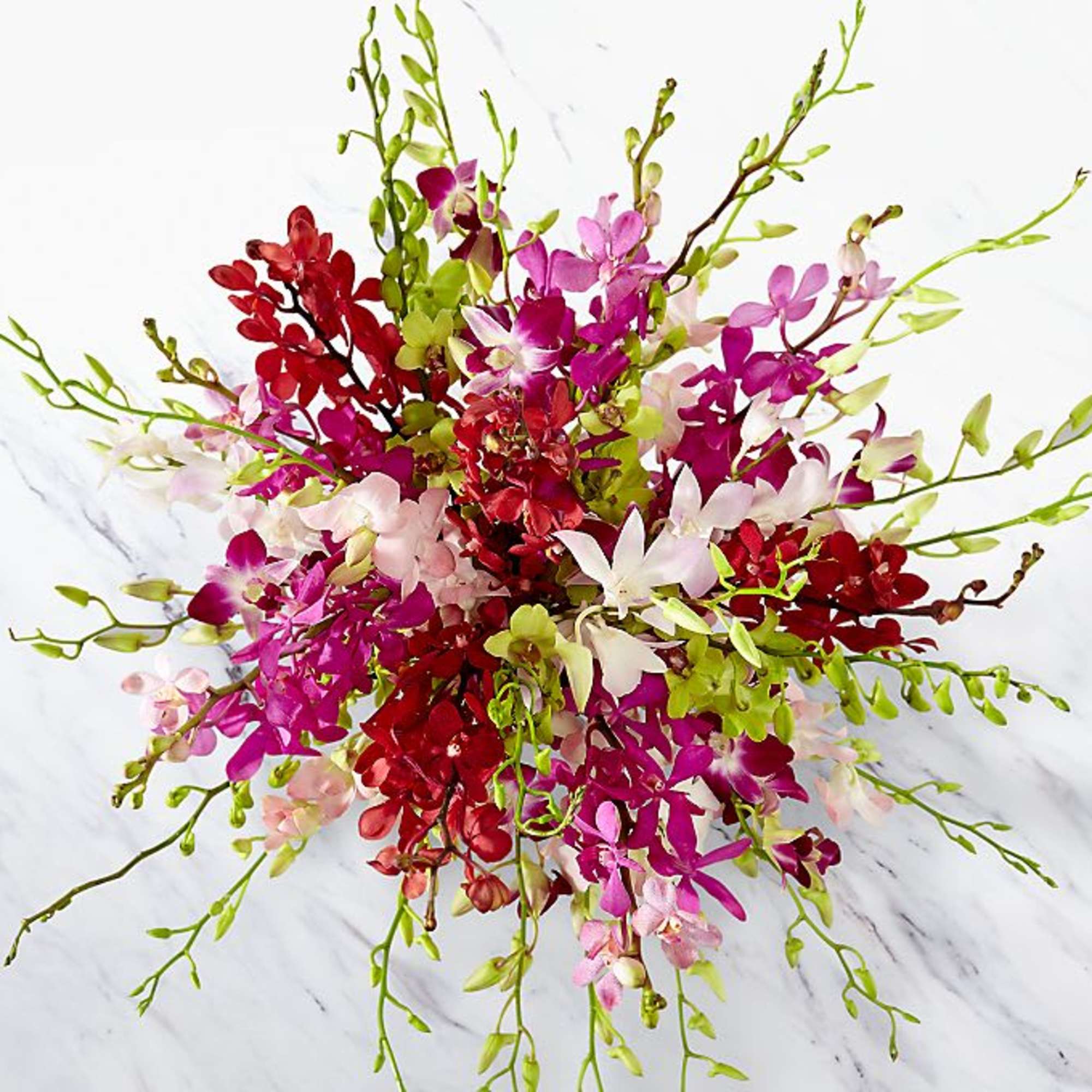 Let your sweet sentiments shine with vibrant color and exuberant elegance. An Let your sweet sentiments shine with vibrant color and exuberant elegance. An