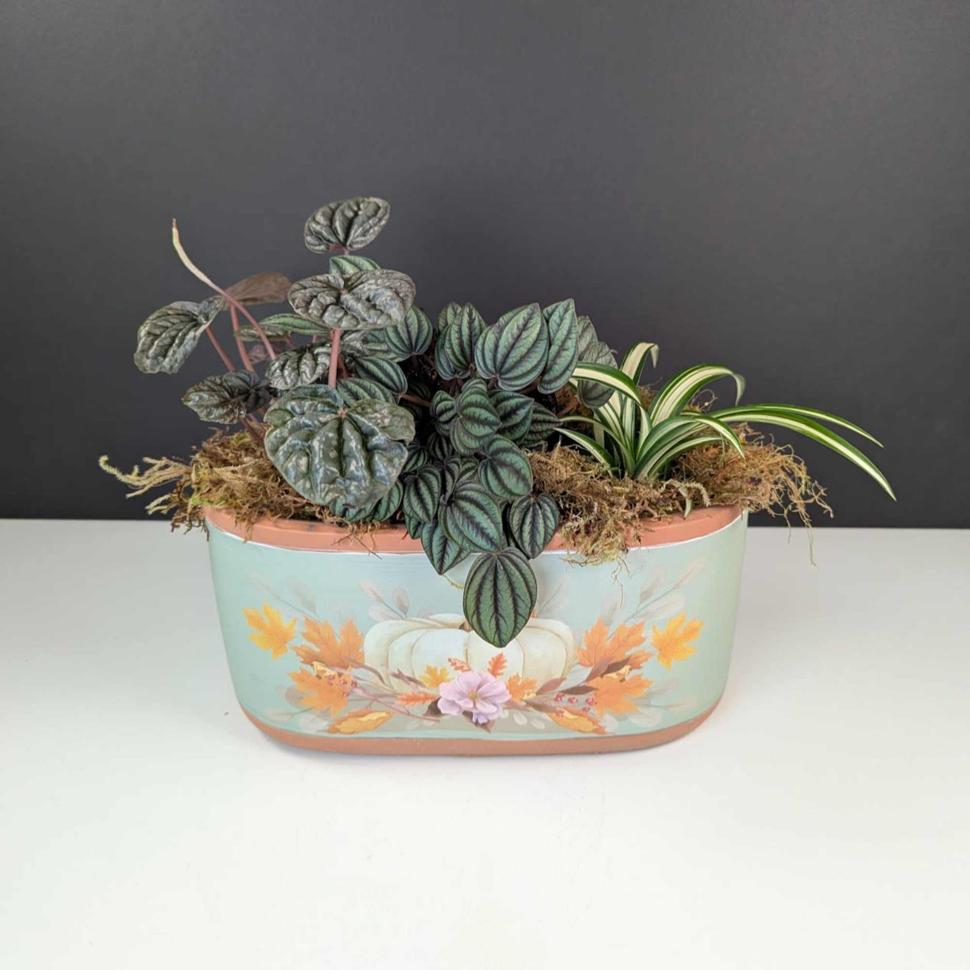 Delight in the Season with Our Pumpkin Patch Dish Garden
Celebrate the beauty Delight in the Season with Our Pumpkin Patch Dish Garden
Celebrate the beauty