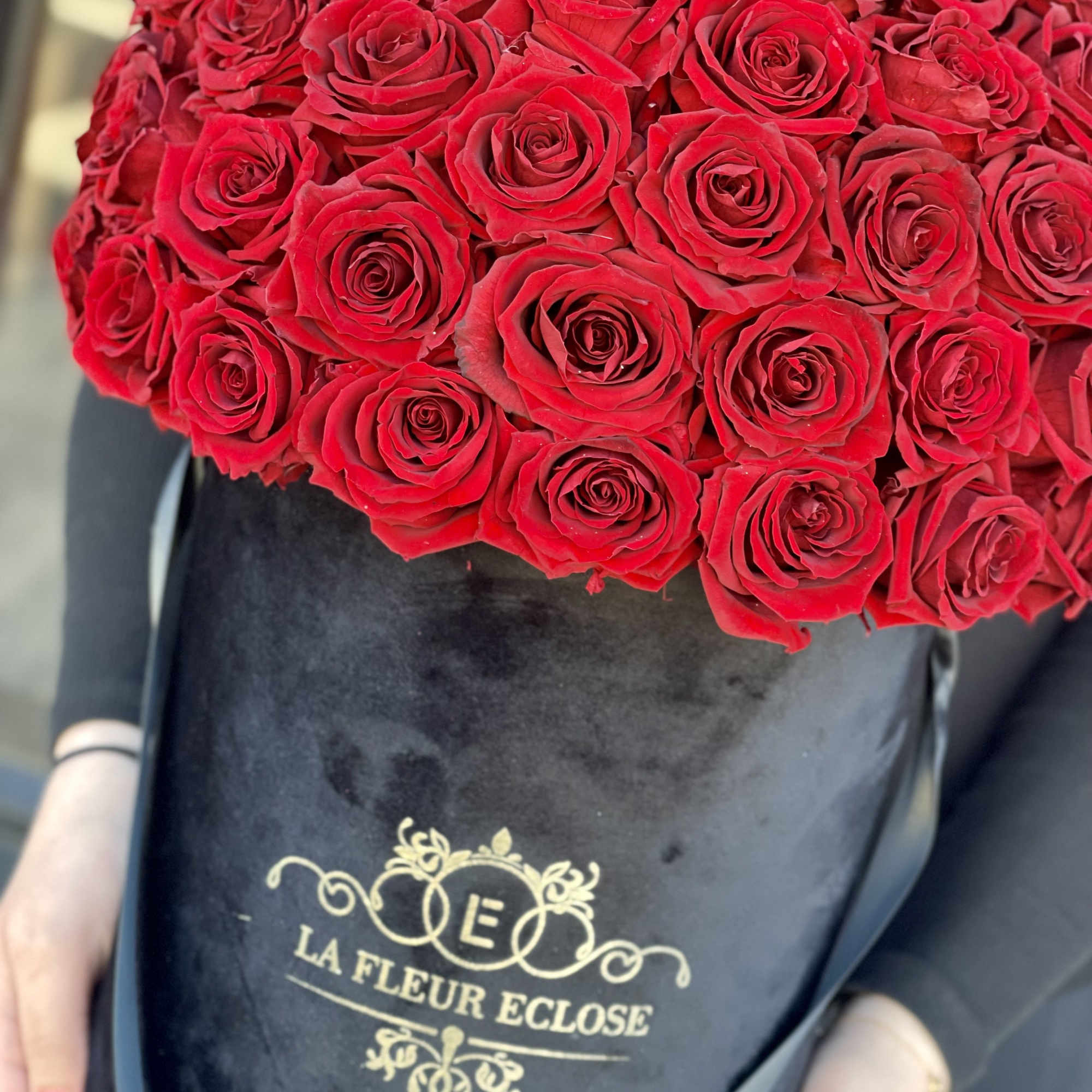 PRESERVED ROSES 
50 Beautiful red eternal roses in our velvet signature black PRESERVED ROSES 
50 Beautiful red eternal roses in our velvet signature black