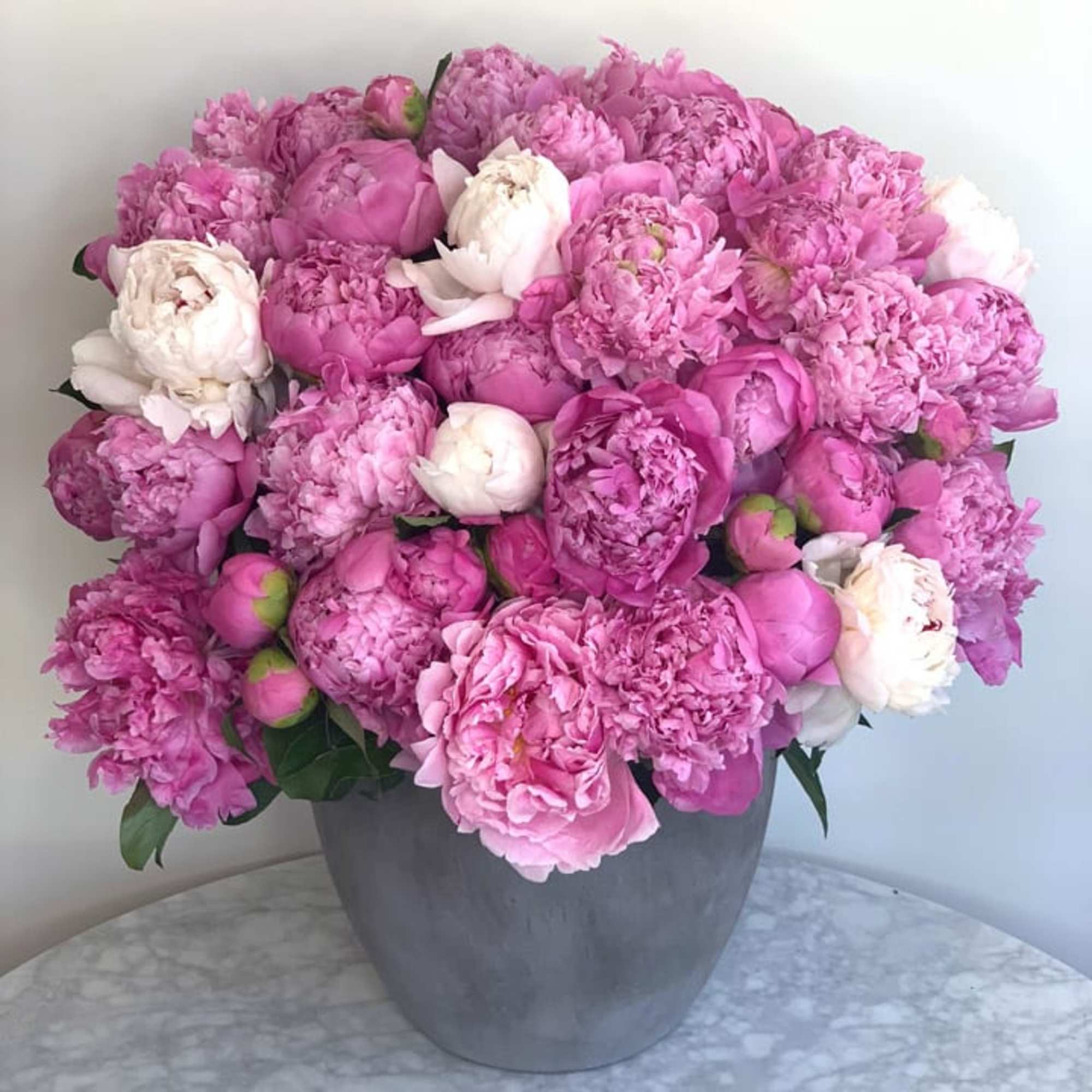 100 PEONIES IN A VASE.  100 PEONIES IN A VASE.