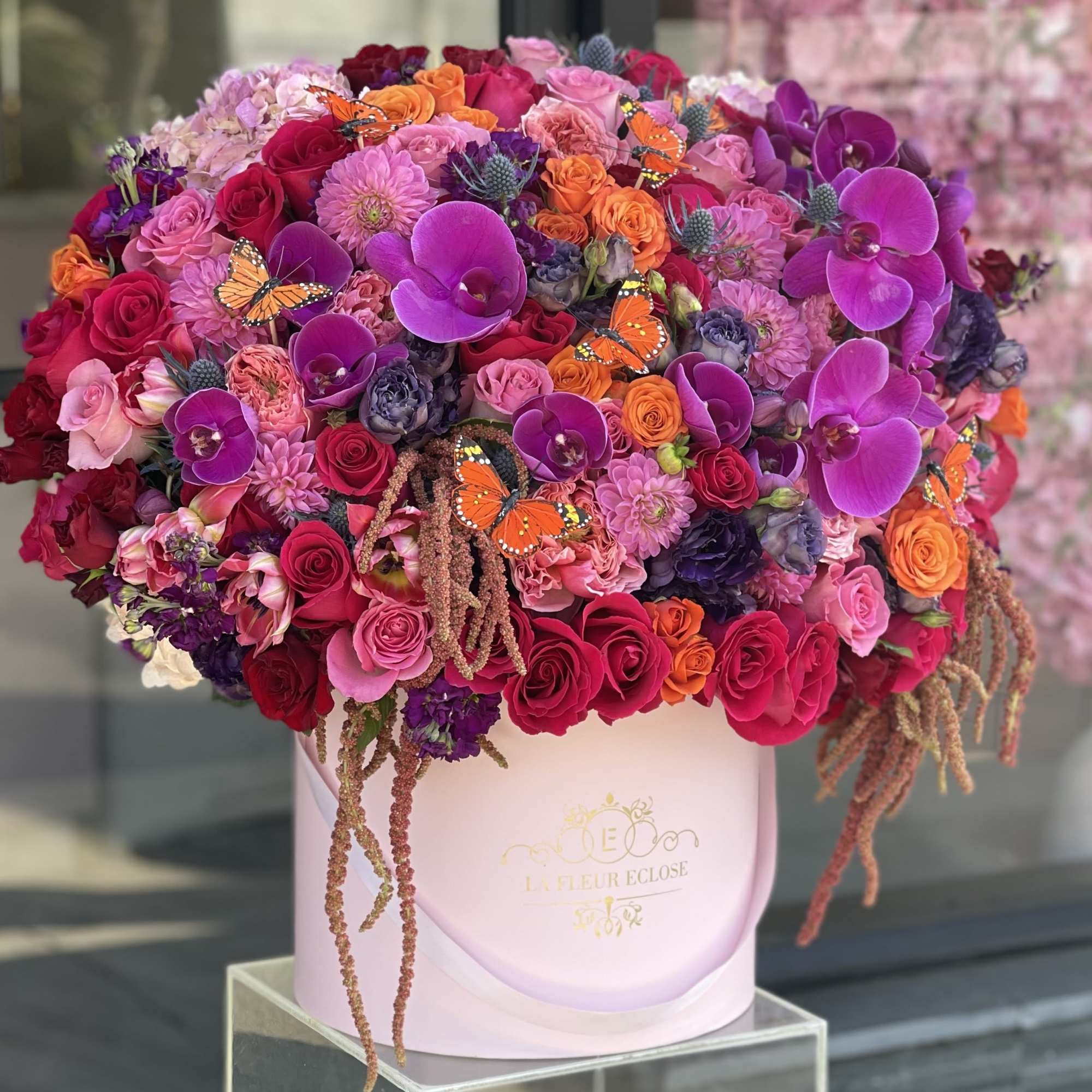 Beautiful oranges pinks  Beautiful oranges pinks