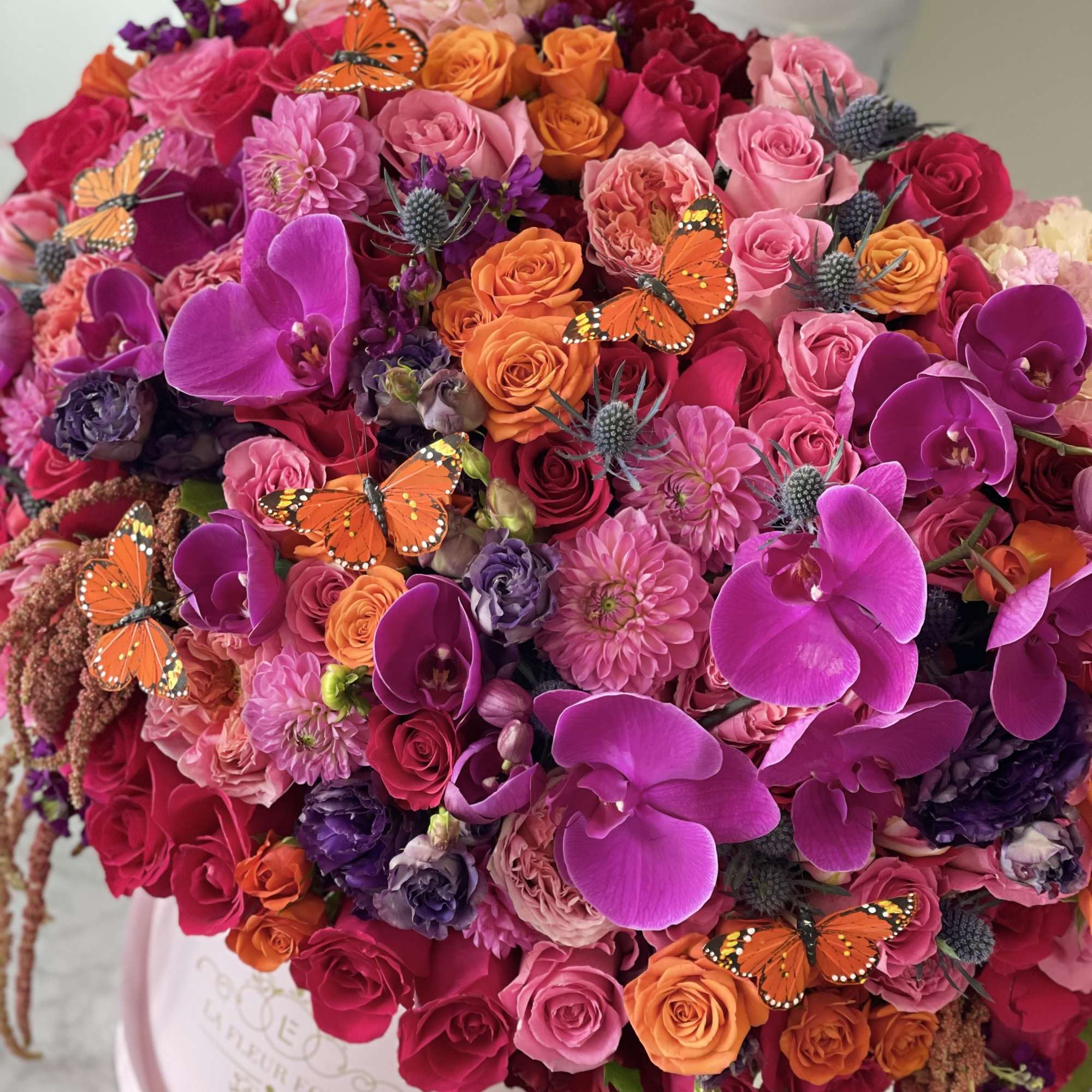 Beautiful oranges pinks  Beautiful oranges pinks