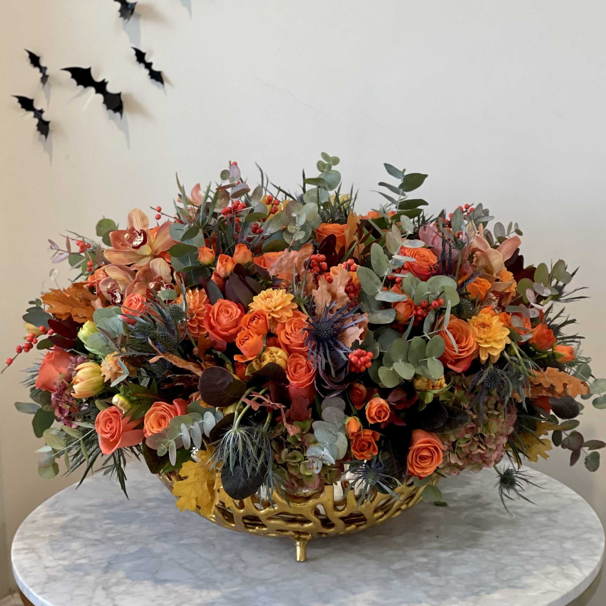 Fall colors  Fall colors