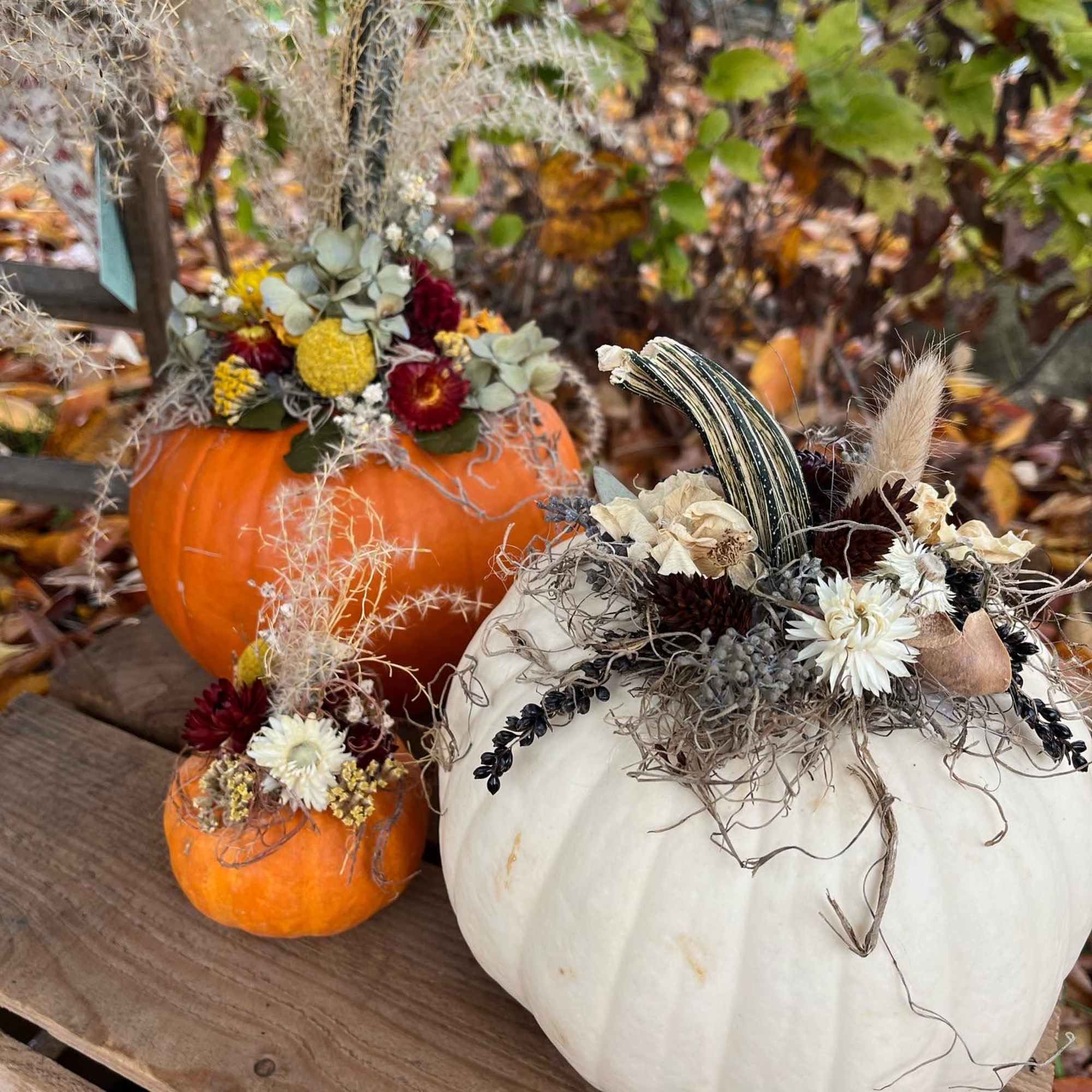 Small Pumpkin with dried flowers glued to the top.  This pumpkin Small Pumpkin with dried flowers glued to the top.  This pumpkin