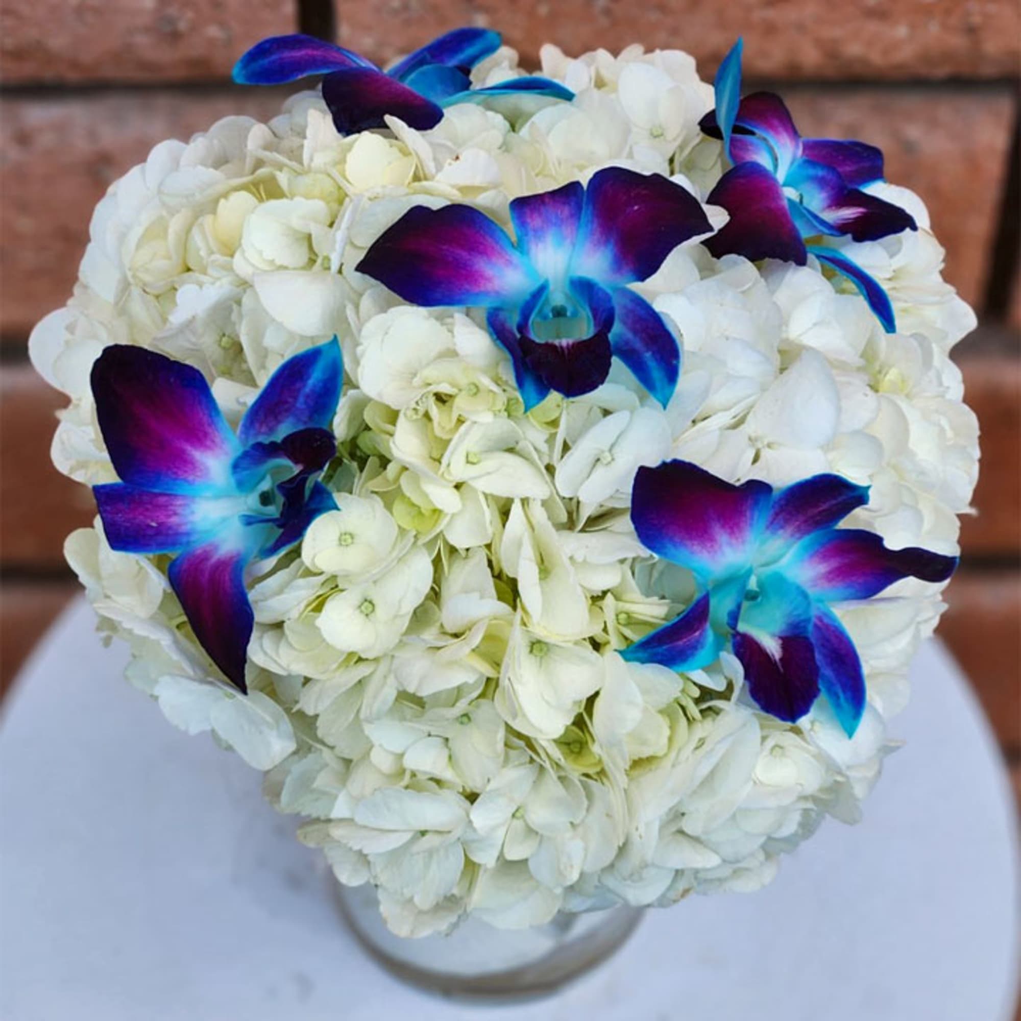 Seaside Floral Arrangement &ndash; Hydrangeas &amp; Blue Orchids

Bring the calming beauty of