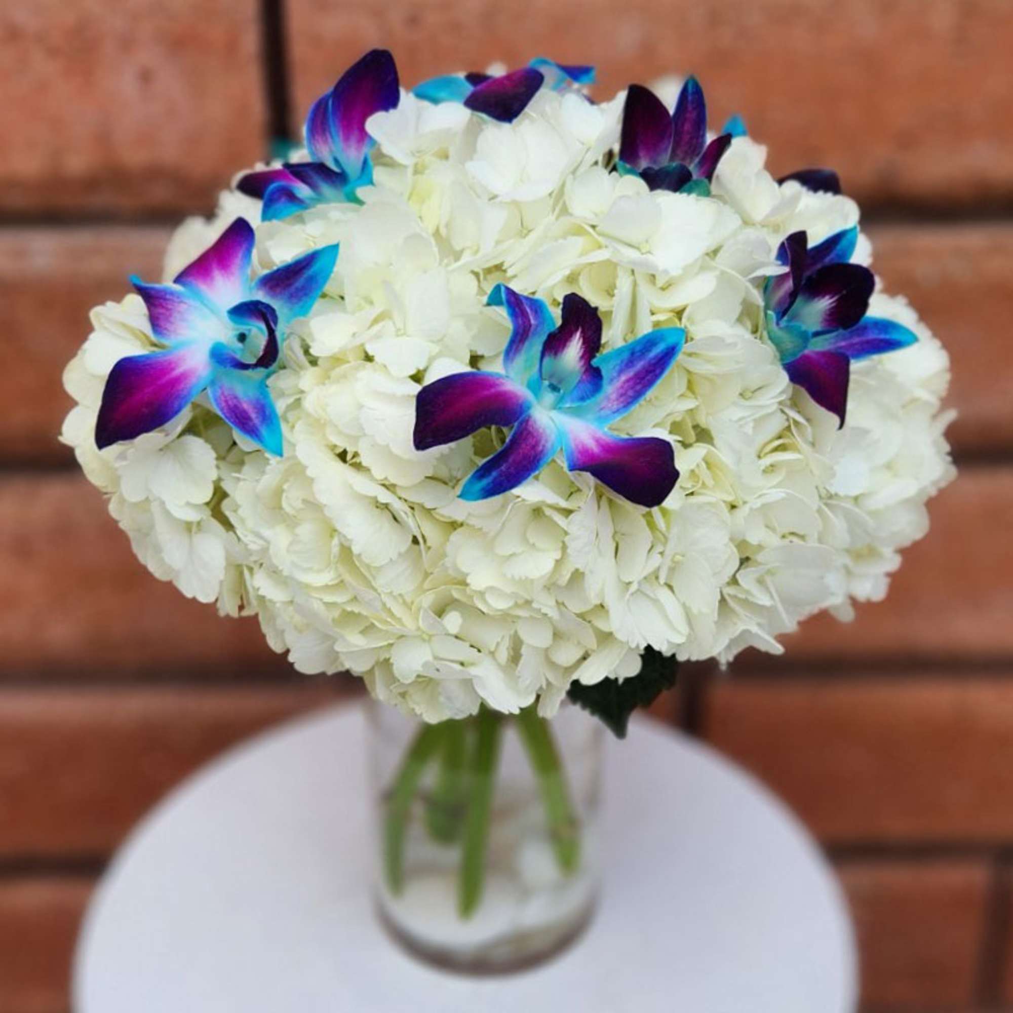Seaside Floral Arrangement &ndash; Hydrangeas &amp; Blue Orchids

Bring the calming beauty of