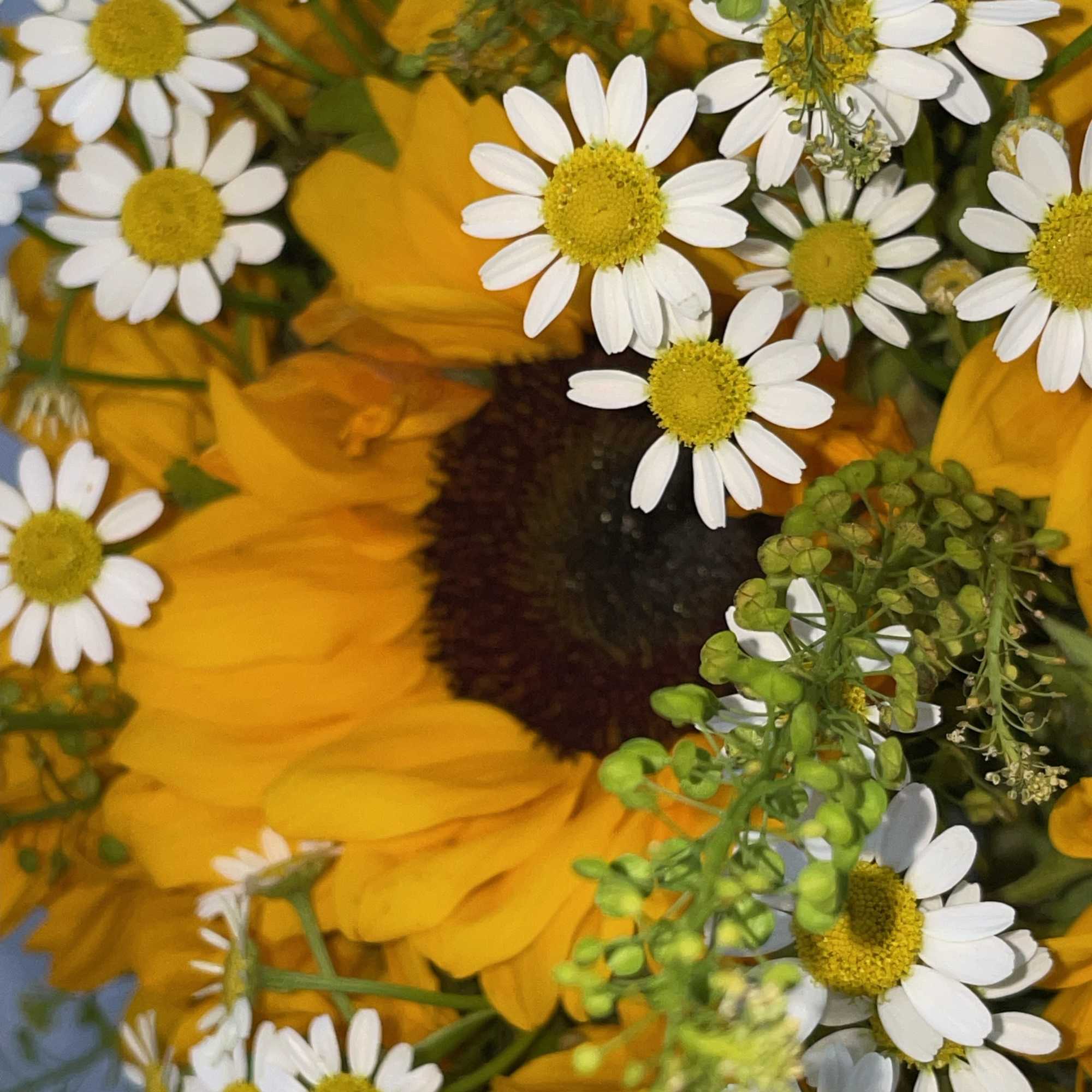 This stunning floral arrangement features a beautiful blend of sunflowers and daisies.