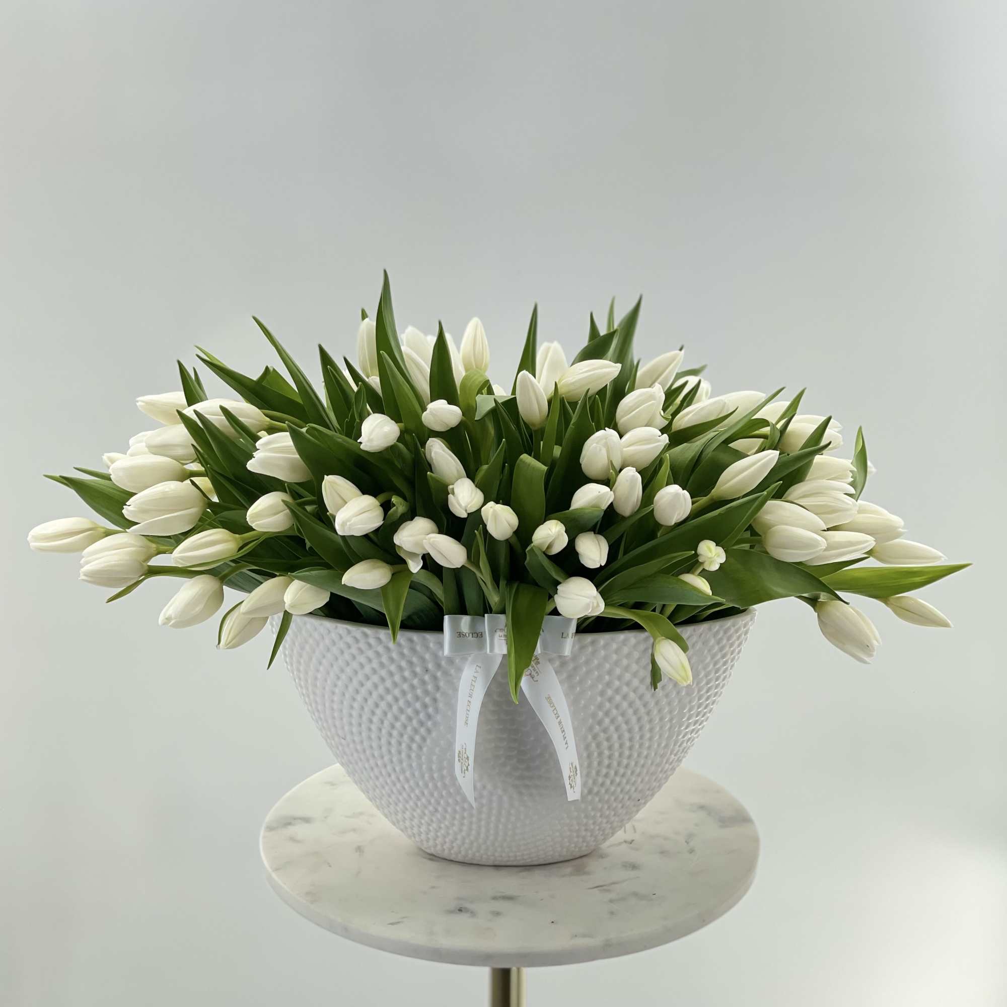 White tulips in a white ceramic vase  White tulips in a white ceramic vase