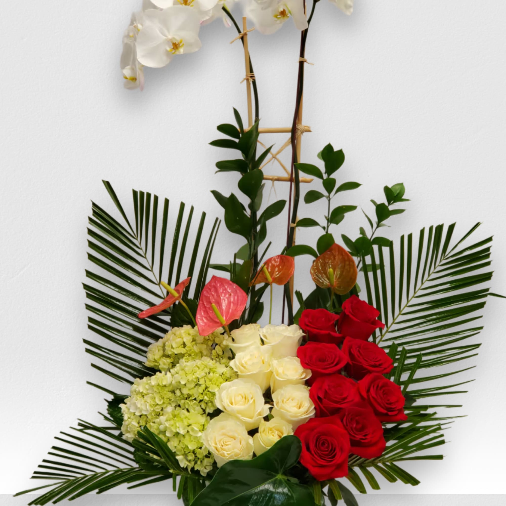 Tropical romance is a beautiful romantic arrangement with orchid, roses, hydrangea and