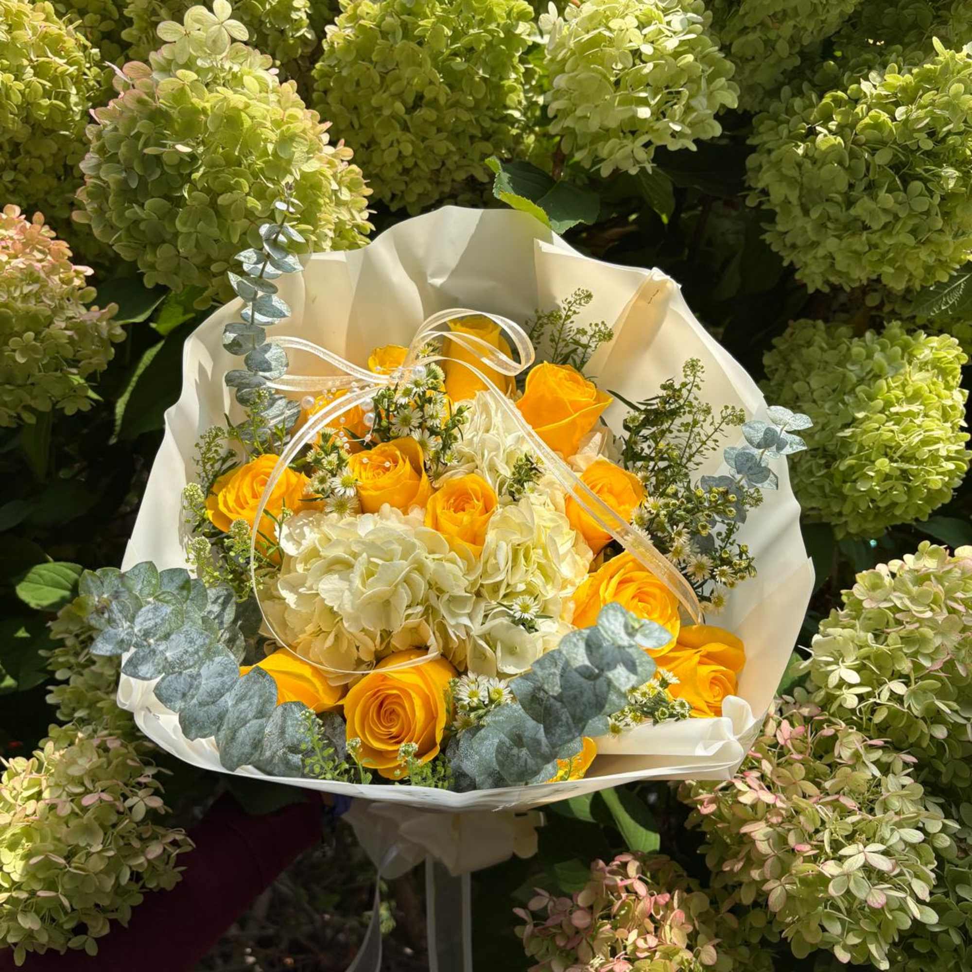 September 21st
A radiant bouquet composed of 15 yellow roses symbolizing joy, optimism