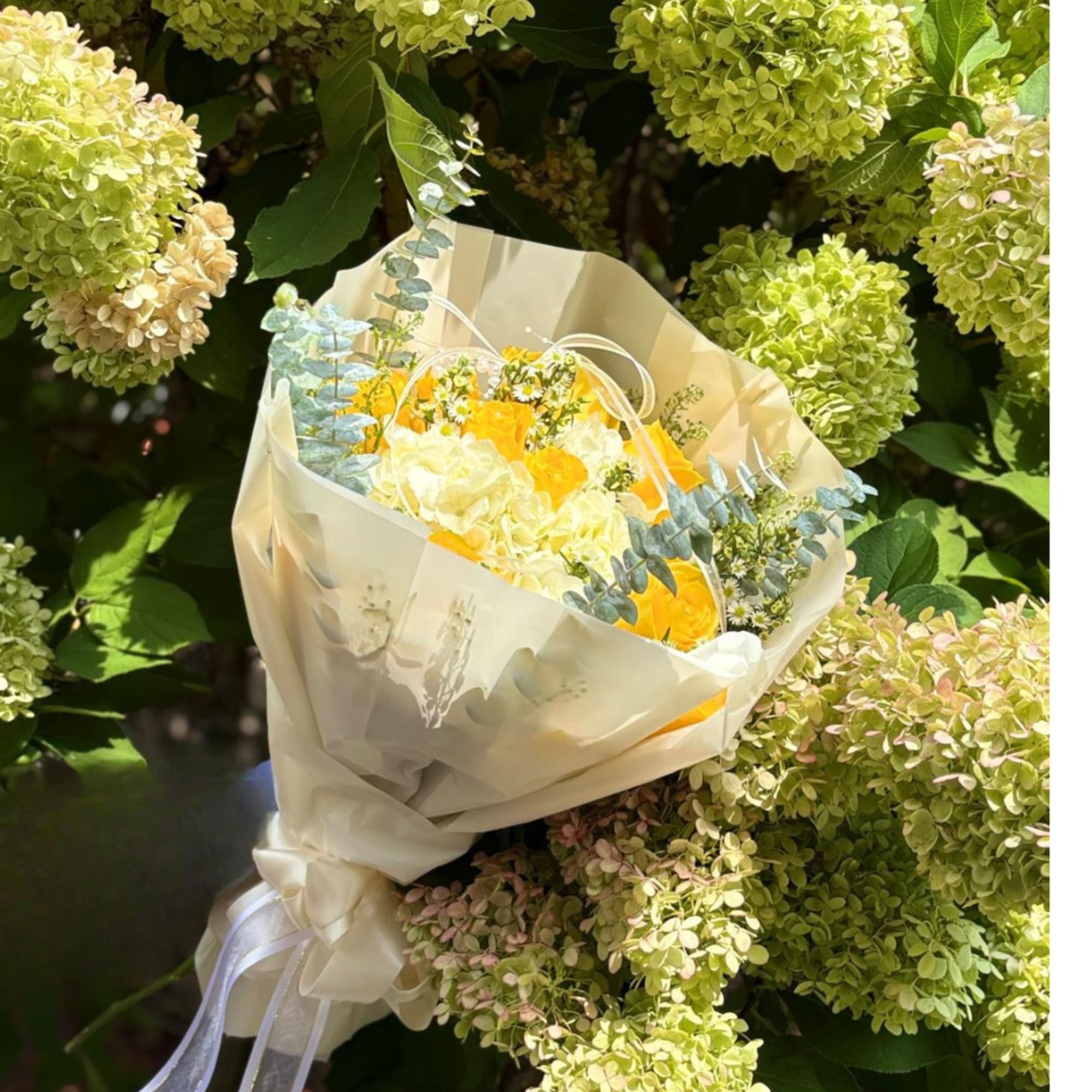 September 21st
A radiant bouquet composed of 15 yellow roses symbolizing joy, optimism