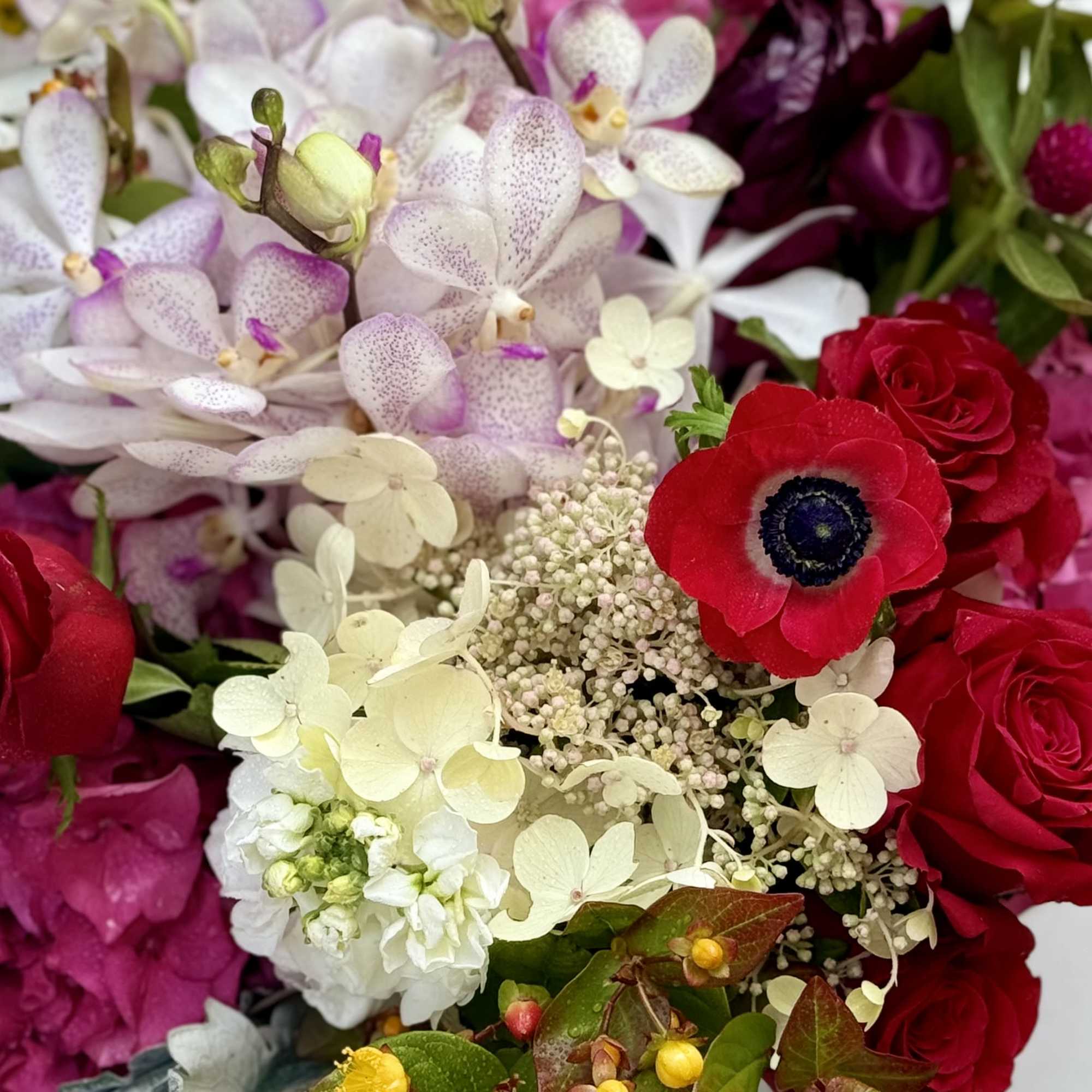 A gorgeous design filled with unique florals and colors. The unexpected way