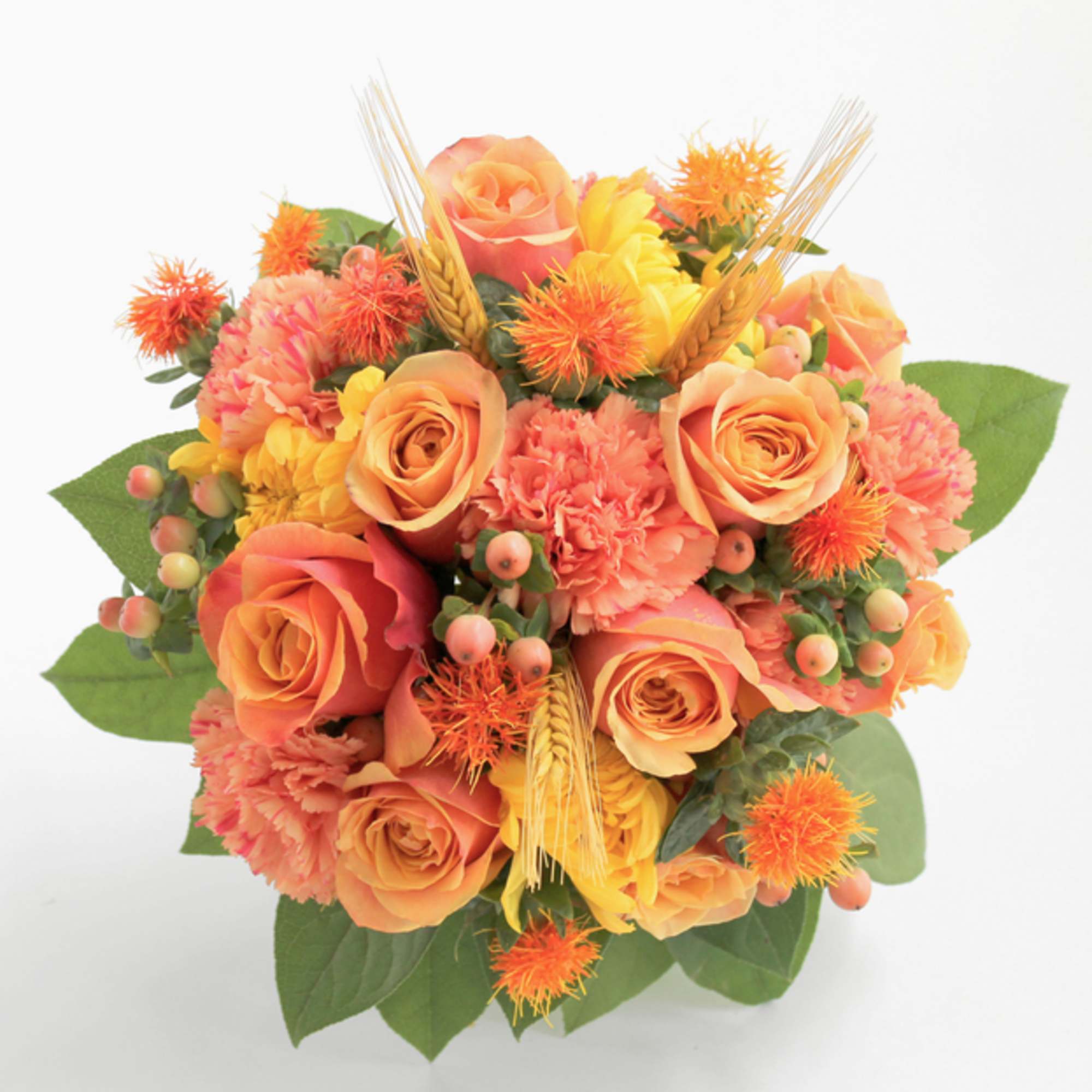 What would autumn be without the chrysanthemum.  This traditional flower of