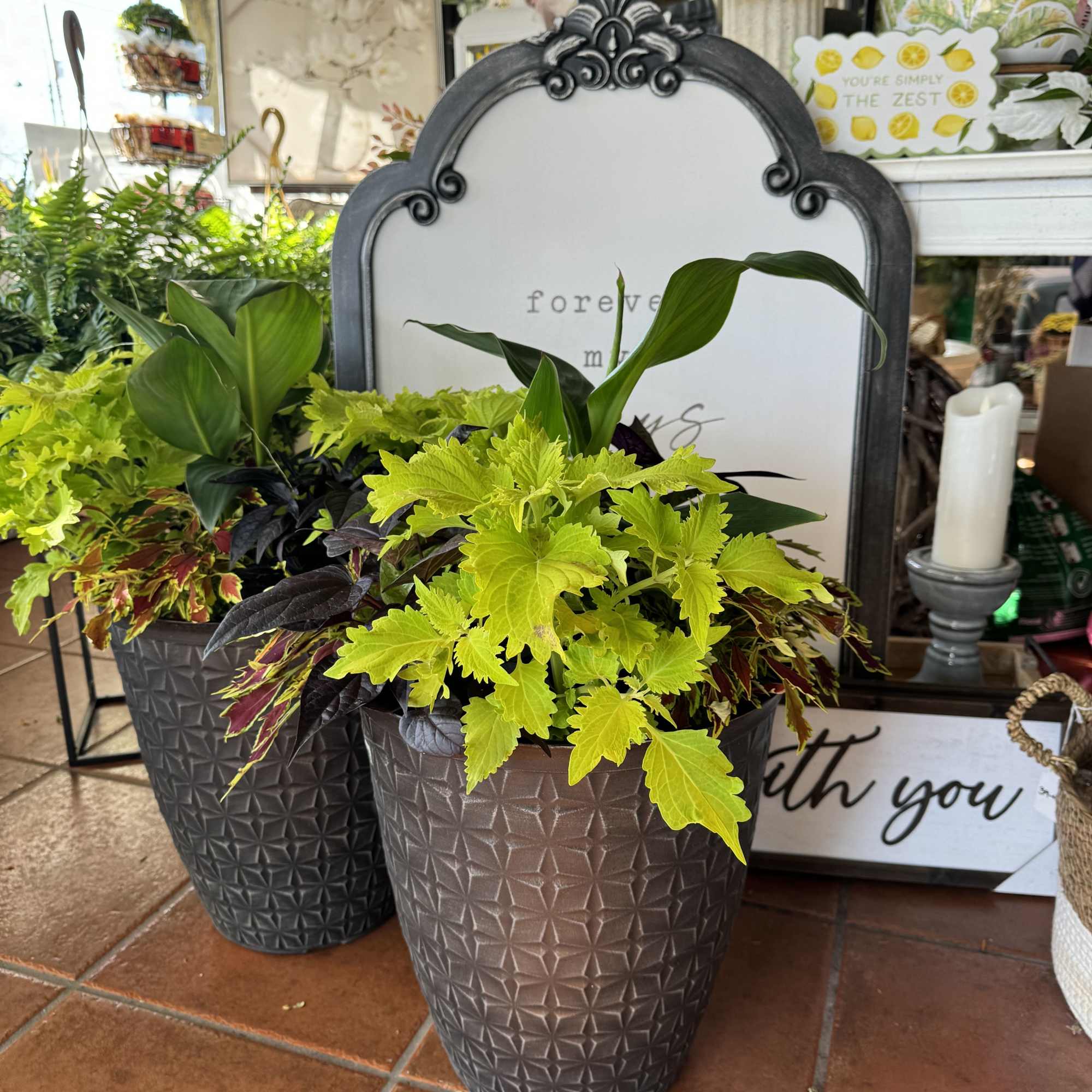 Beautiful 18&quot; tall porch pot with canna lily, potato vine and other