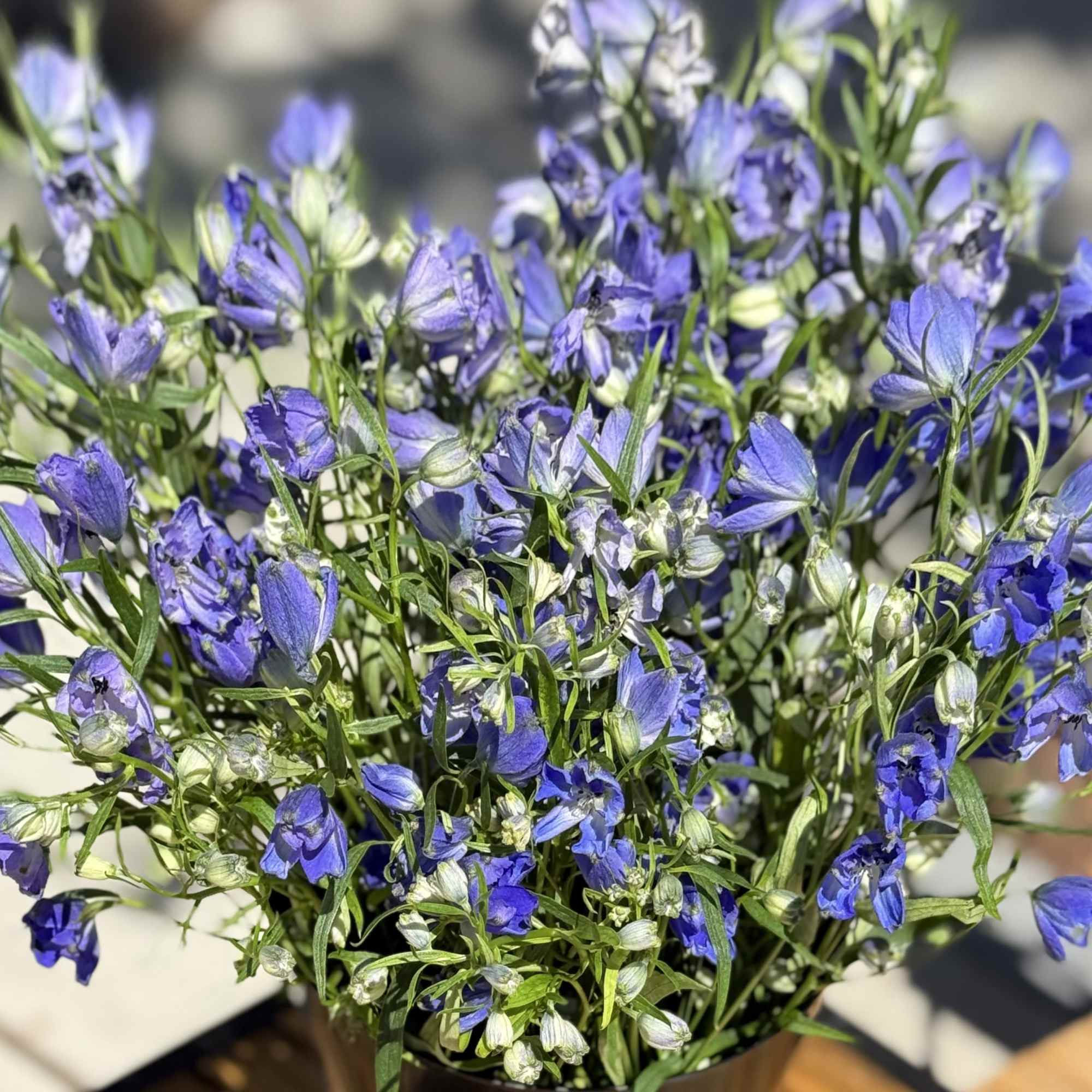 For the love of blue!! We arrange a vase of all blue