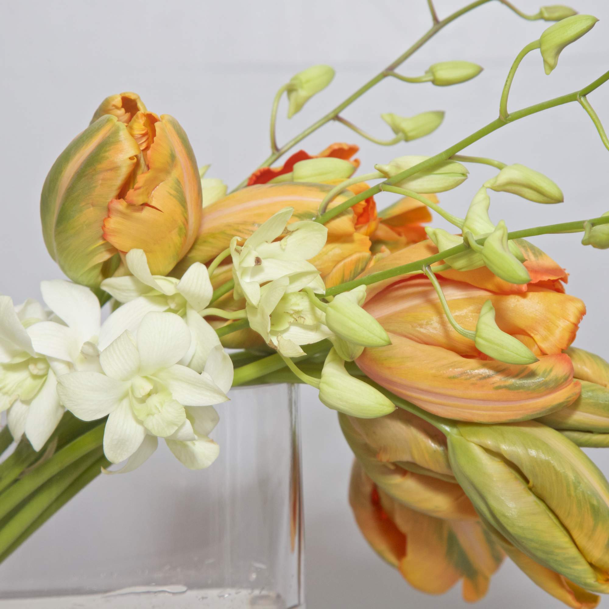 Very contemporary design with gorgeous French Tulips and Orchids - available in
