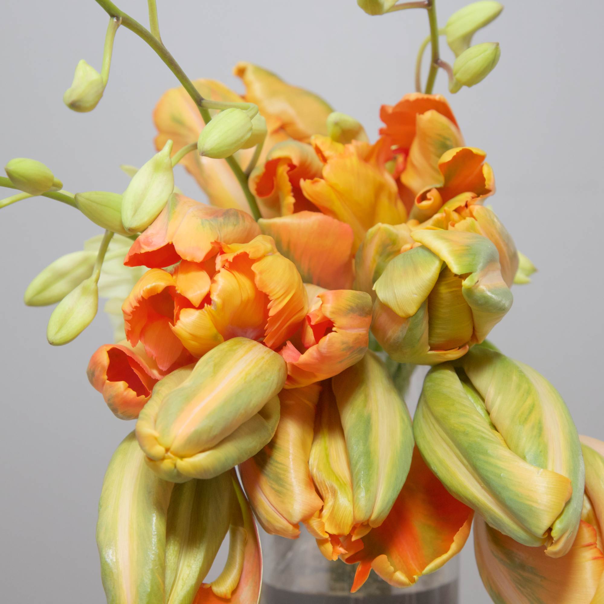 Very contemporary design with gorgeous French Tulips and Orchids - available in