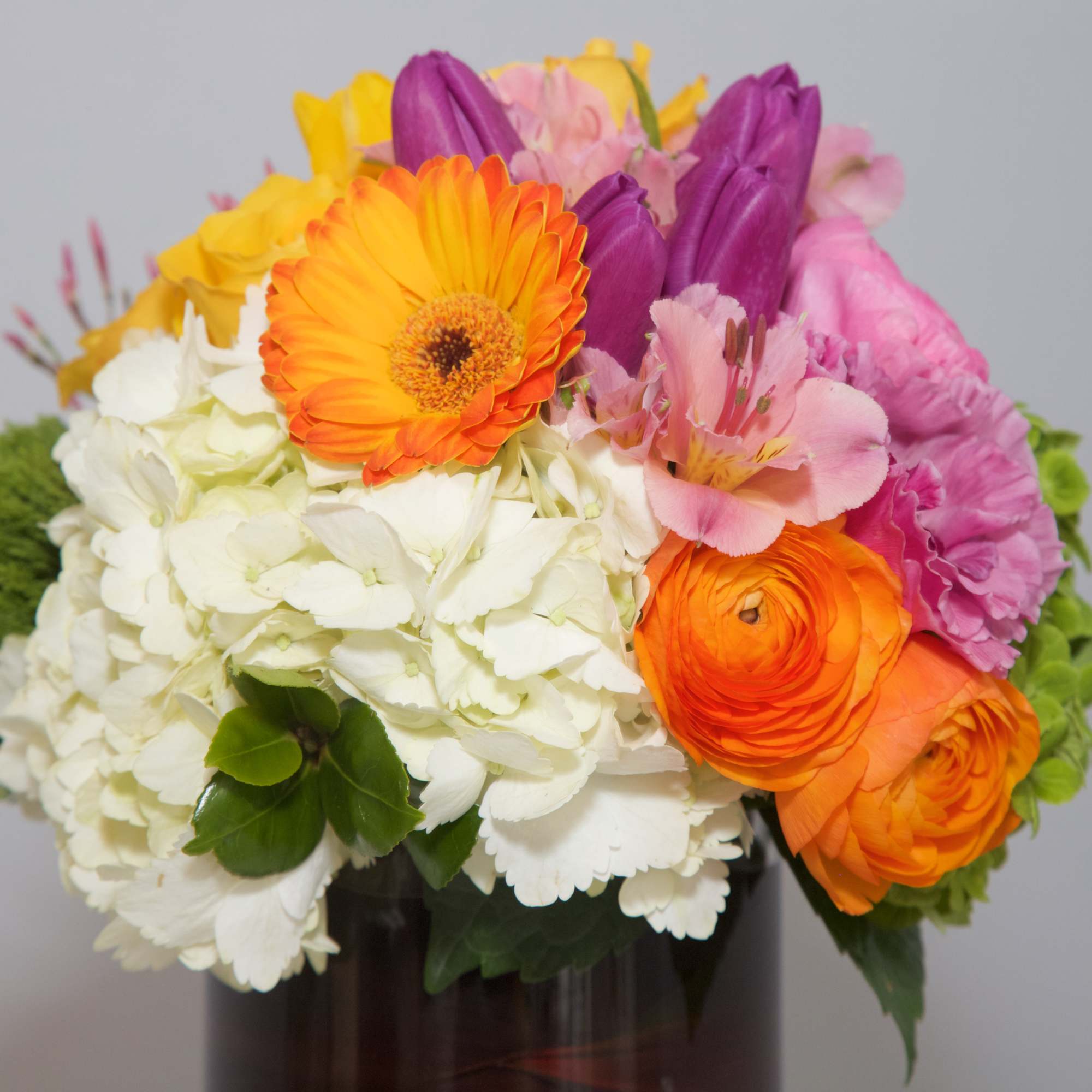 Delight your Beloveds with this bright, happy arrangement of Hydrangeas, Gerbera Dasies
