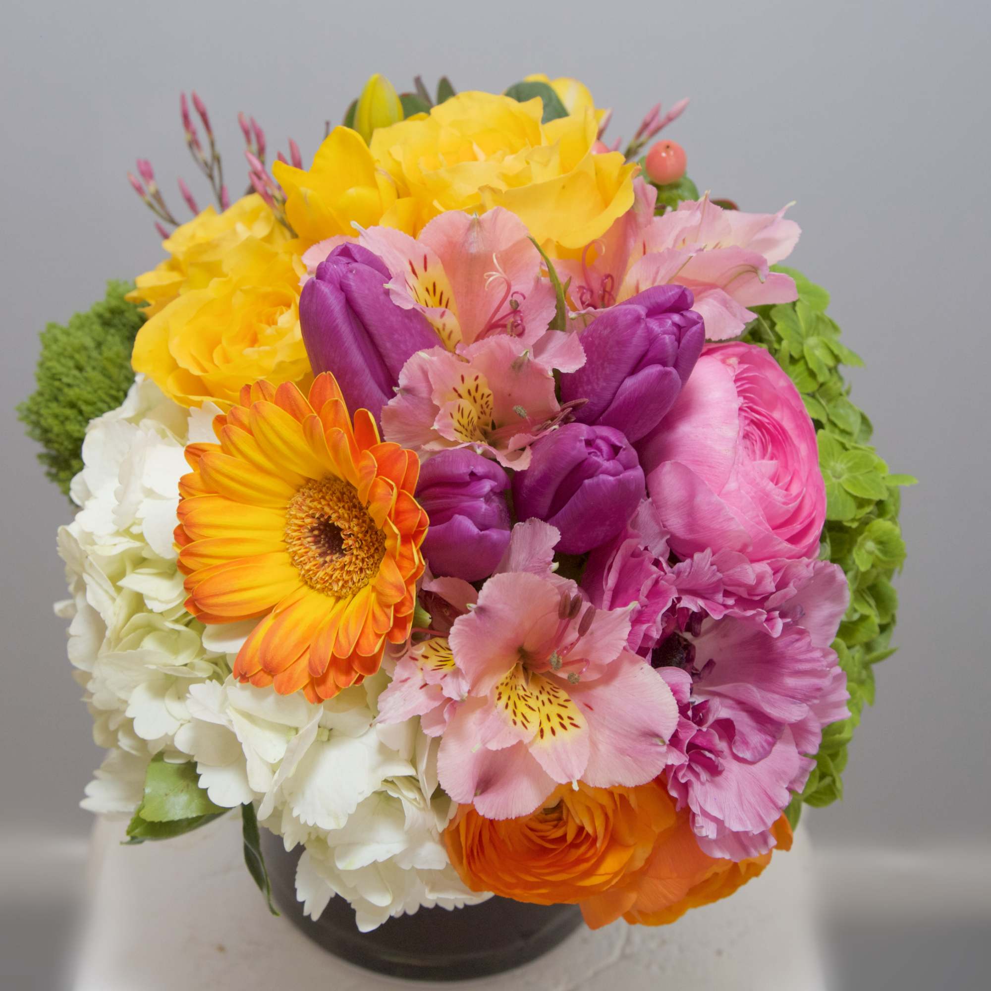 Delight your Beloveds with this bright, happy arrangement of Hydrangeas, Gerbera Dasies