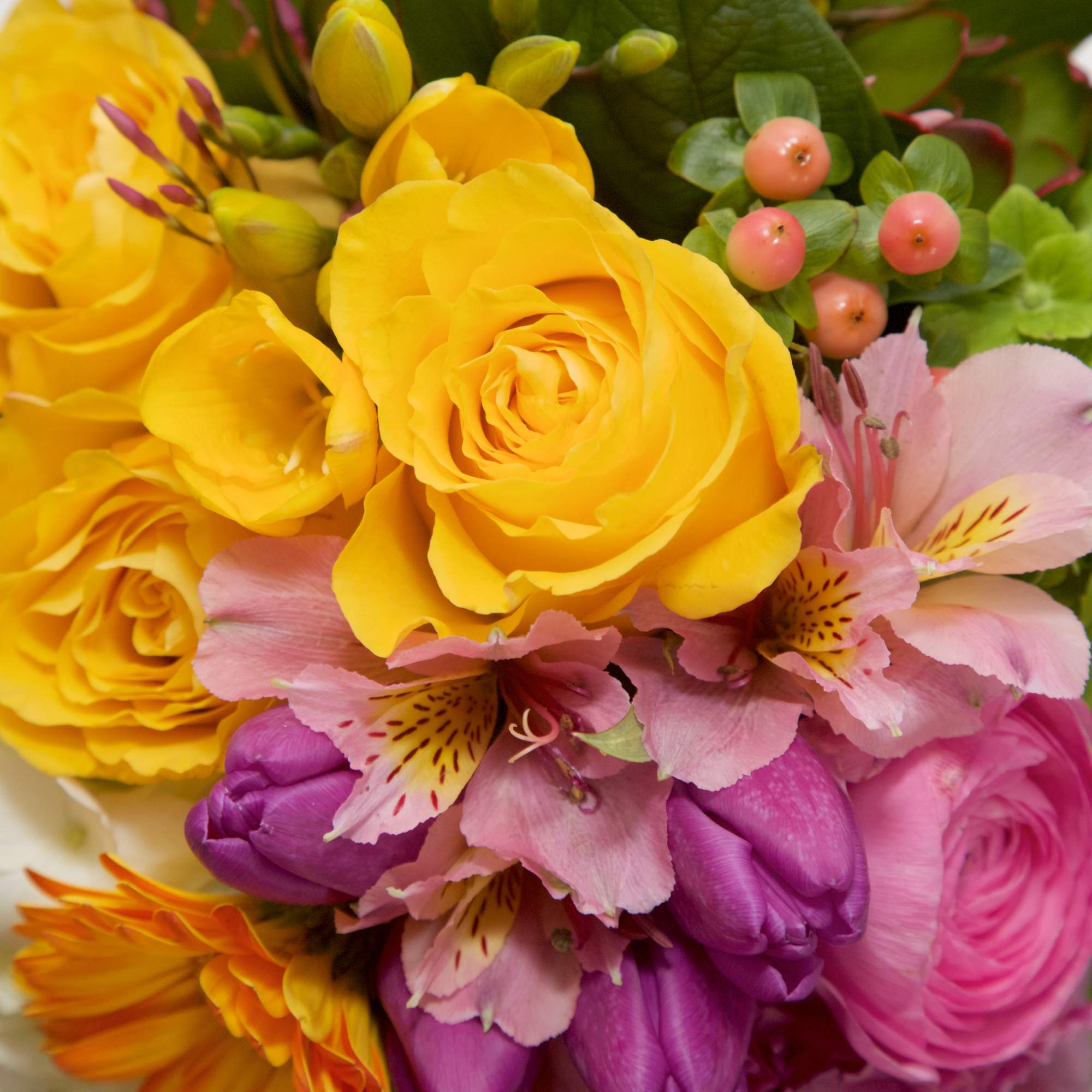 Delight your Beloveds with this bright, happy arrangement of Hydrangeas, Gerbera Dasies