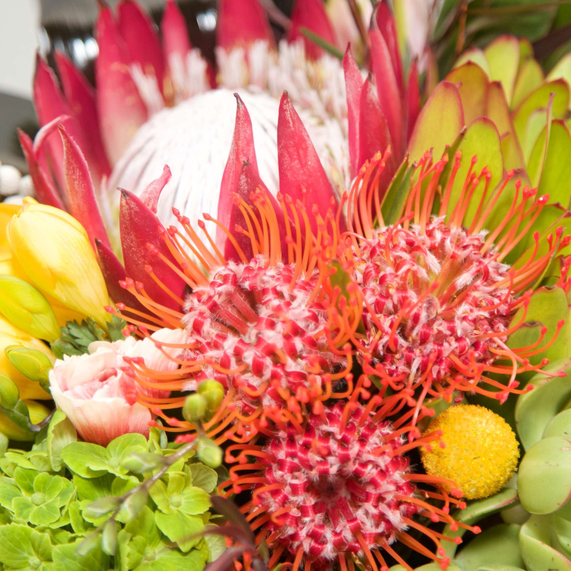 This tropical blend of hot pink blooms, artistic banana leaves and succulents