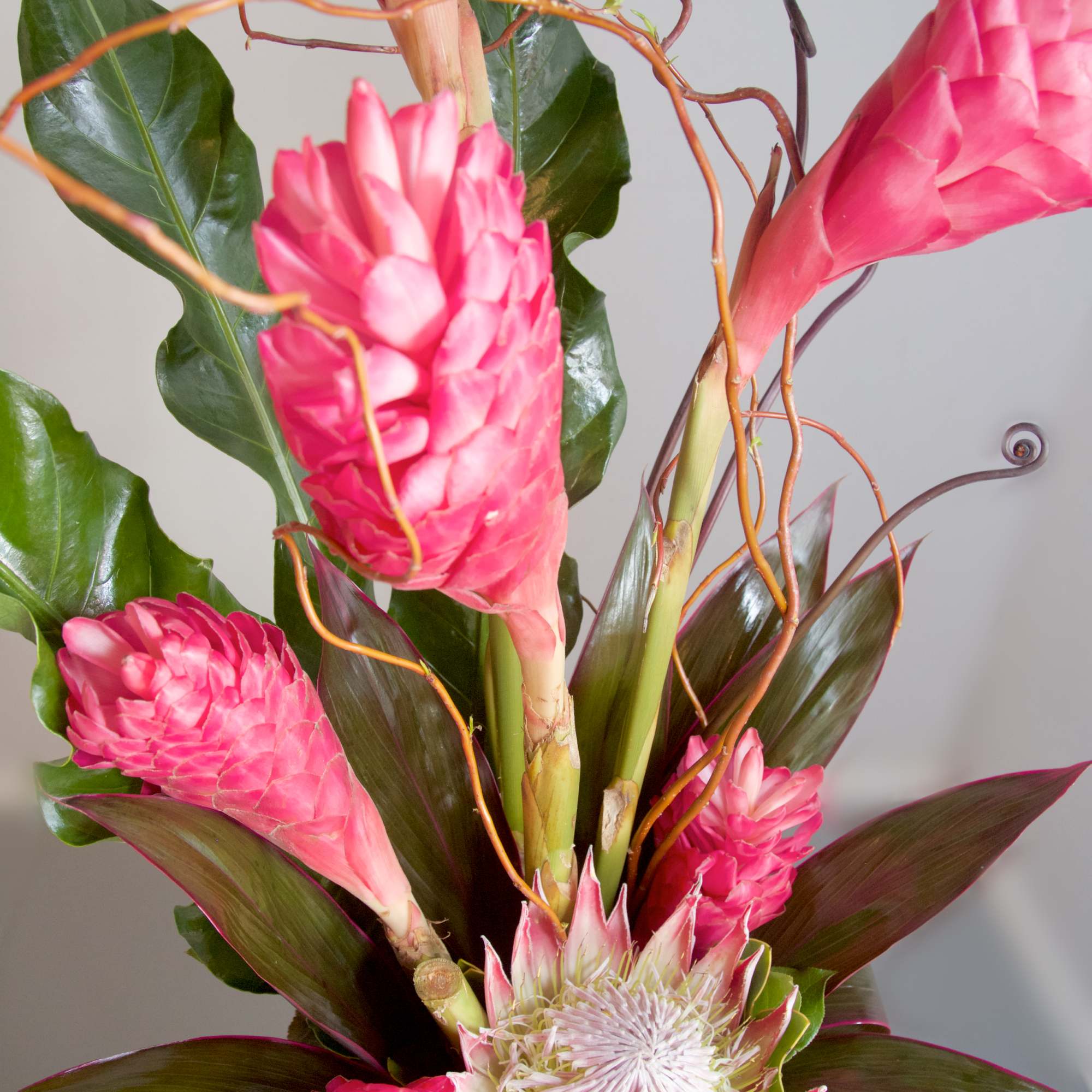 Show your love and devotion with this contemporary tropical arrangement of pink