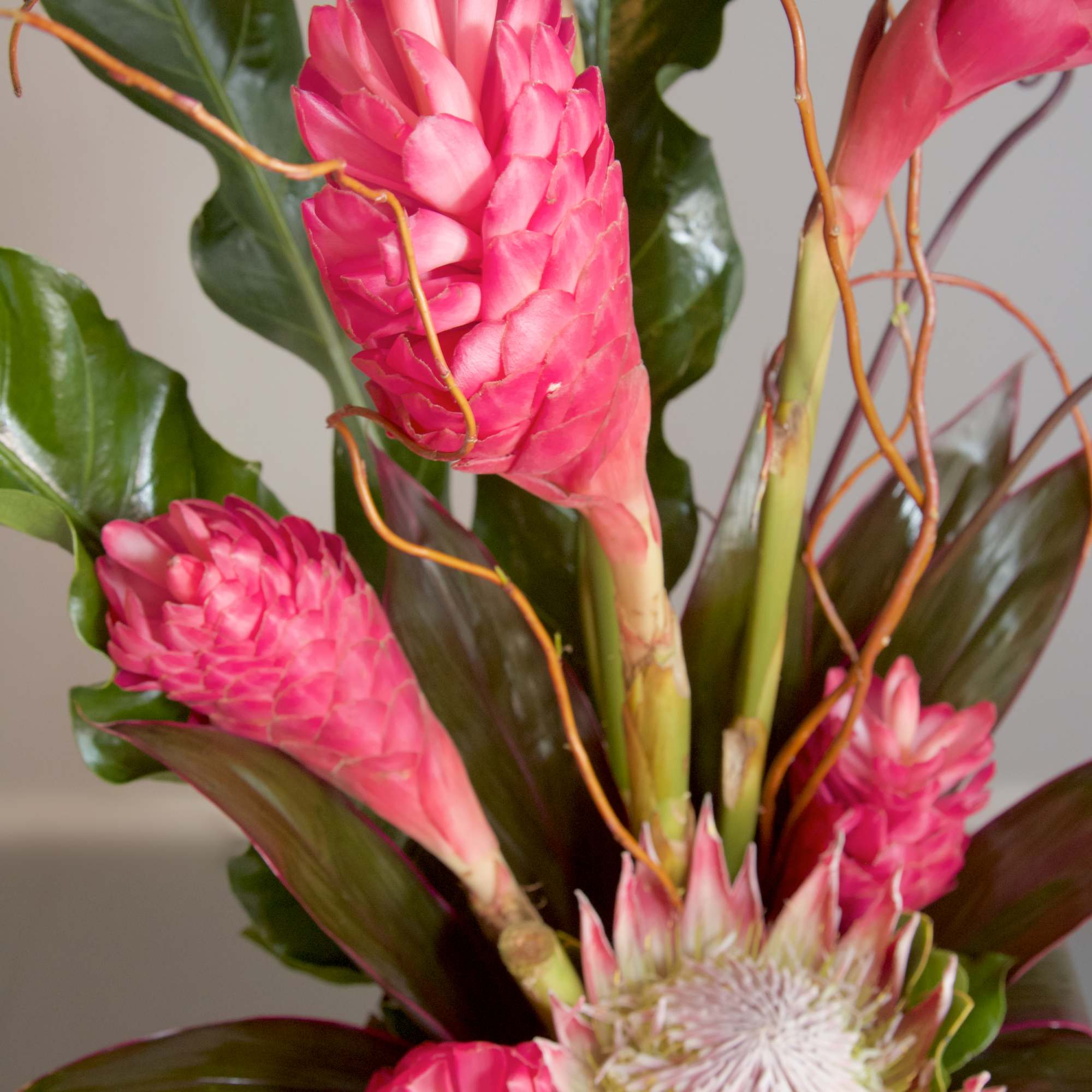 Show your love and devotion with this contemporary tropical arrangement of pink