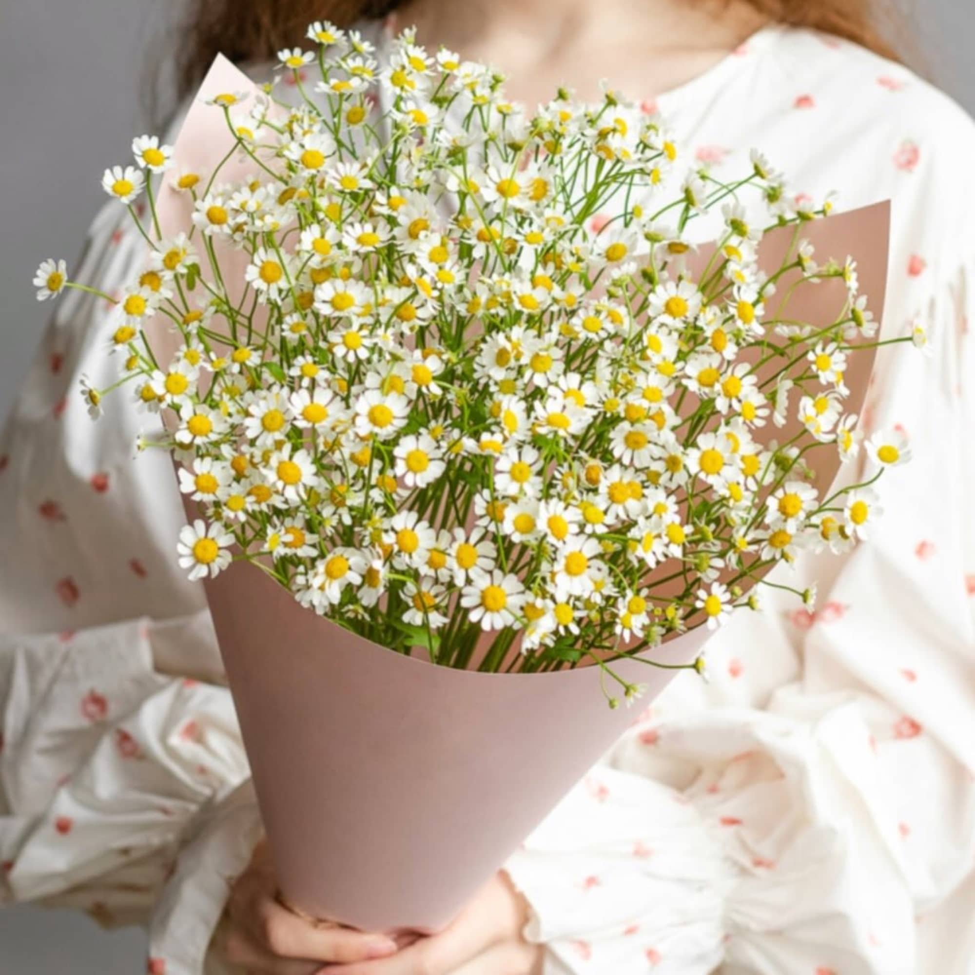 Bouquet of mini Daisies ( Chamomile ).