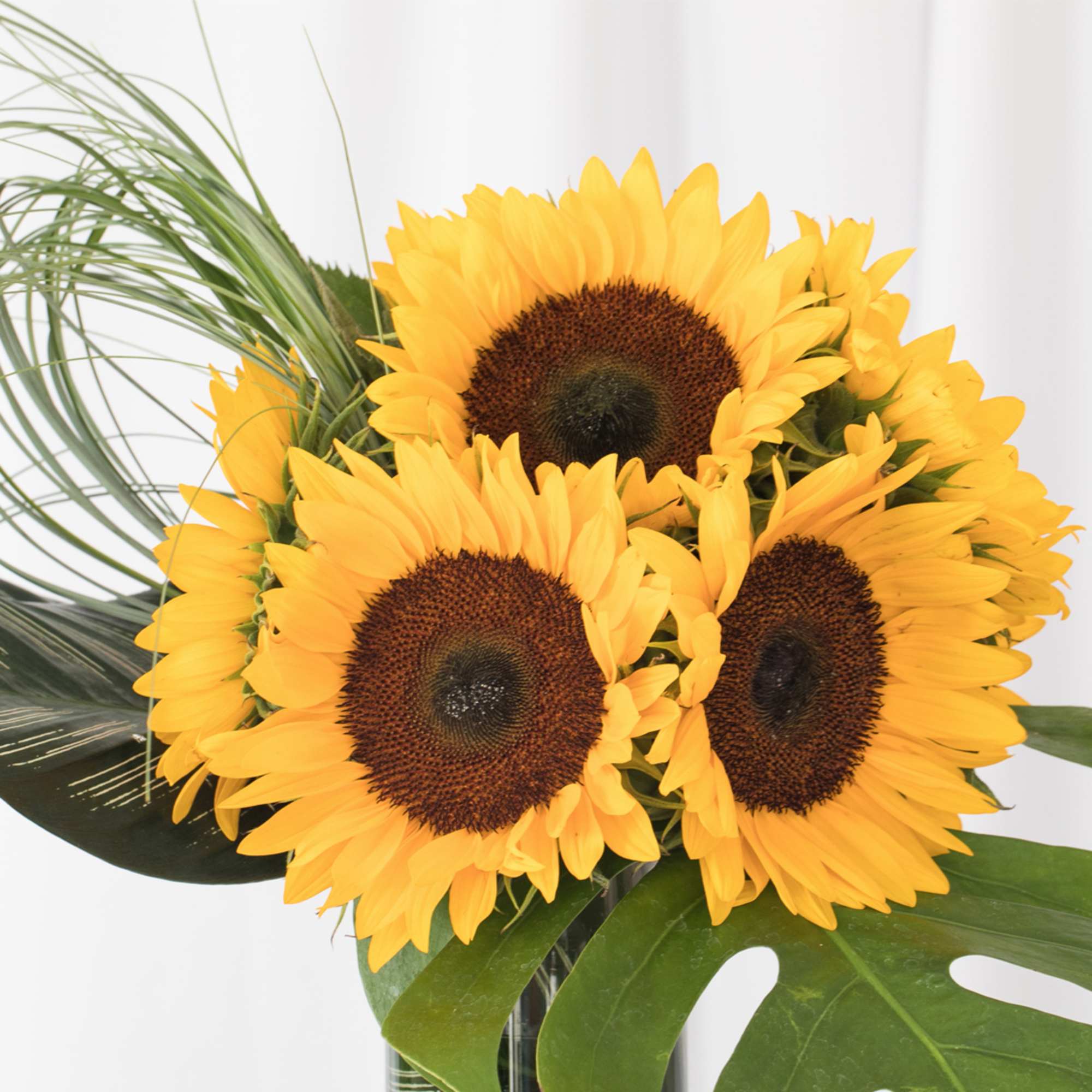 Capture the essence of summer with this sleek and modern sunflower arrangement