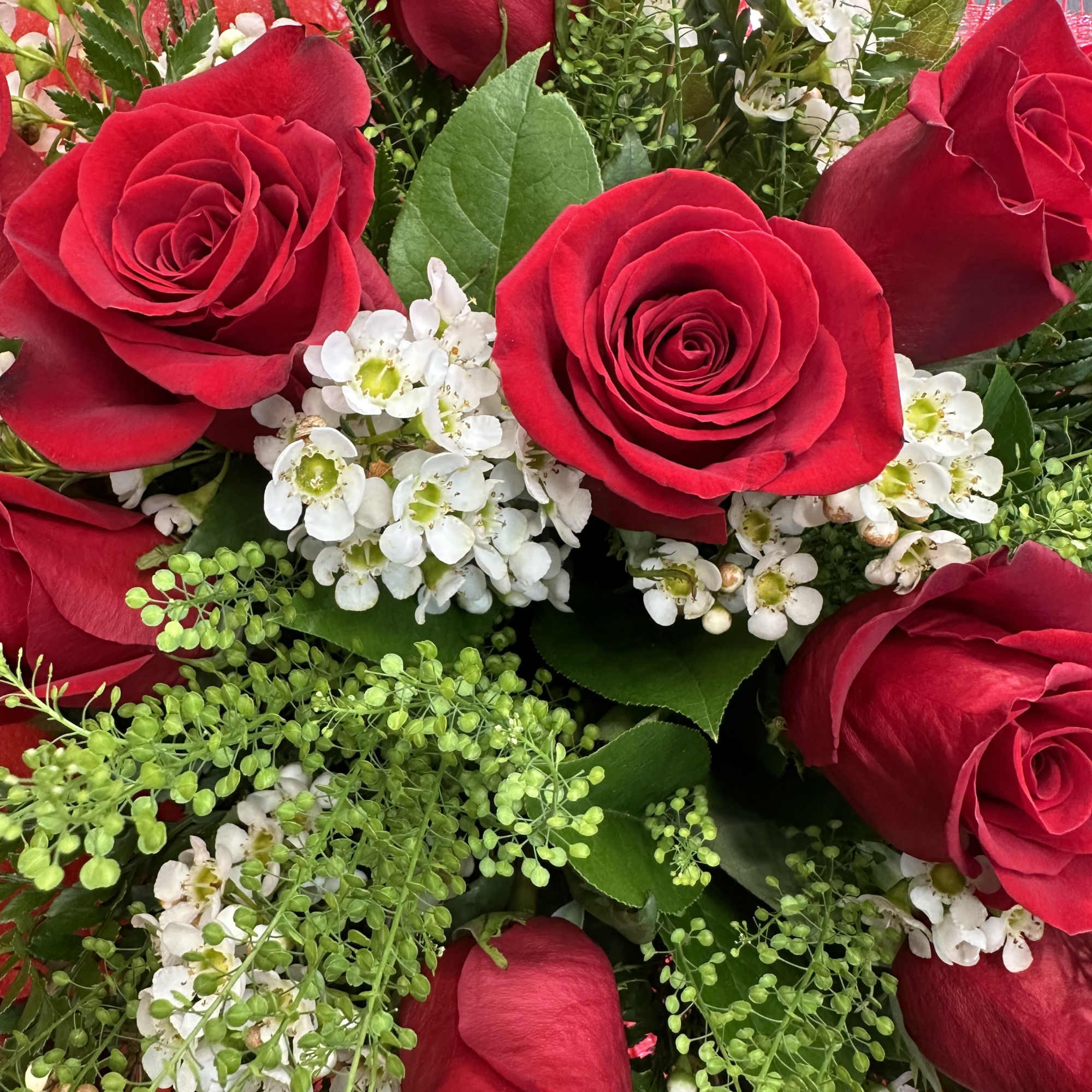 A stunning hand-wrapped bouquet featuring vibrant red roses, delicate white wax flowers